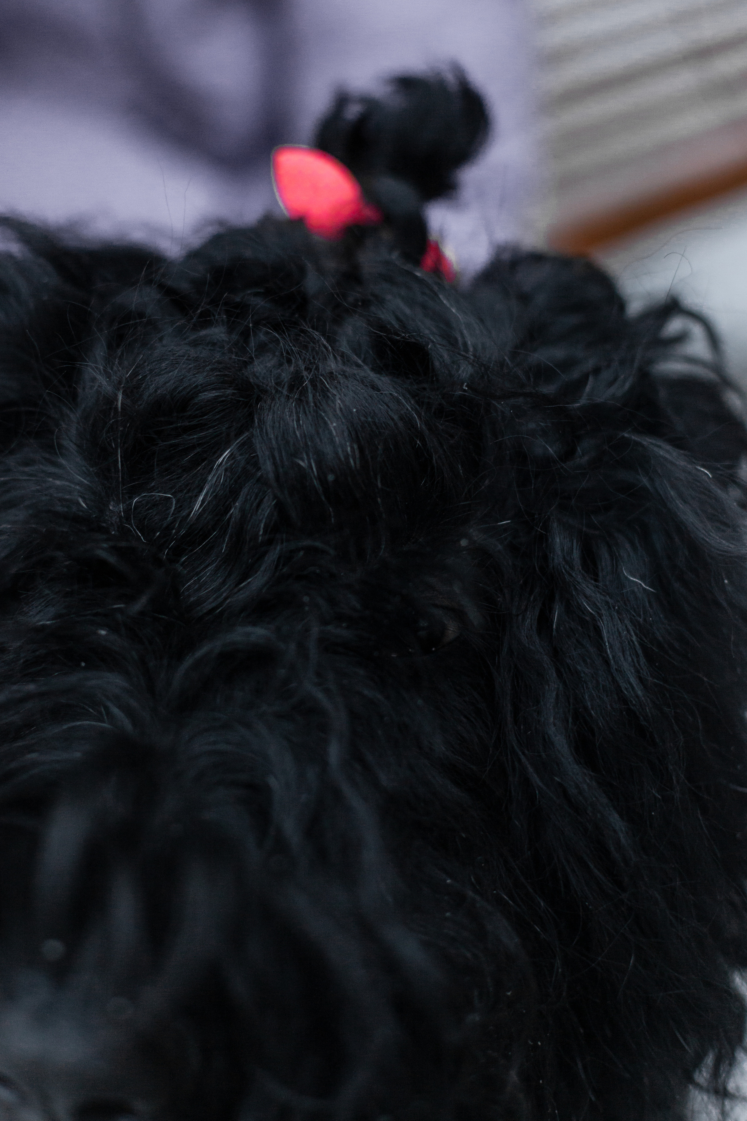 Фотопрогулка завод Арма. Фотограф-анималист Татьяна Степанова