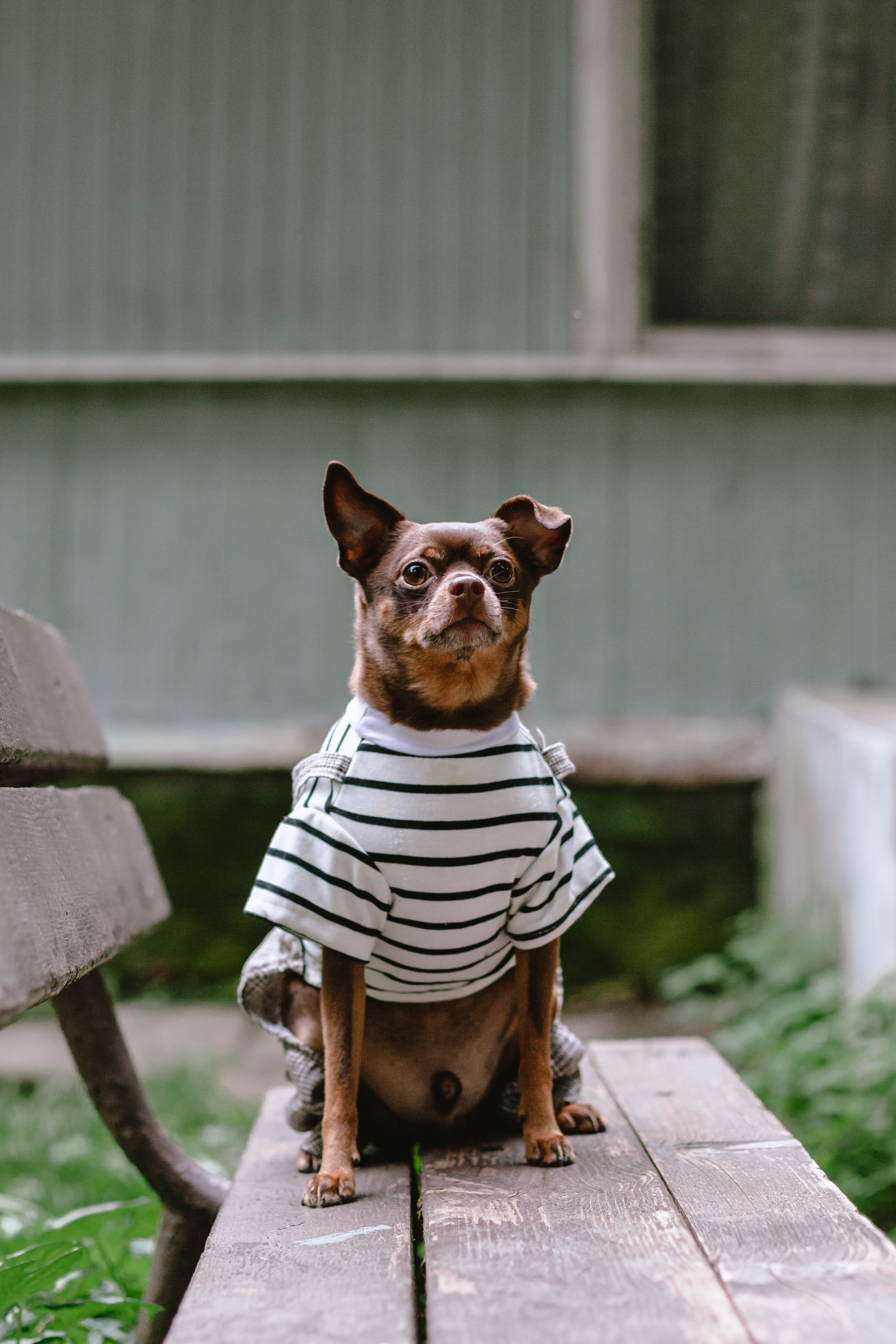 Юля и Леонид. Фотограф-анималист Татьяна Степанова