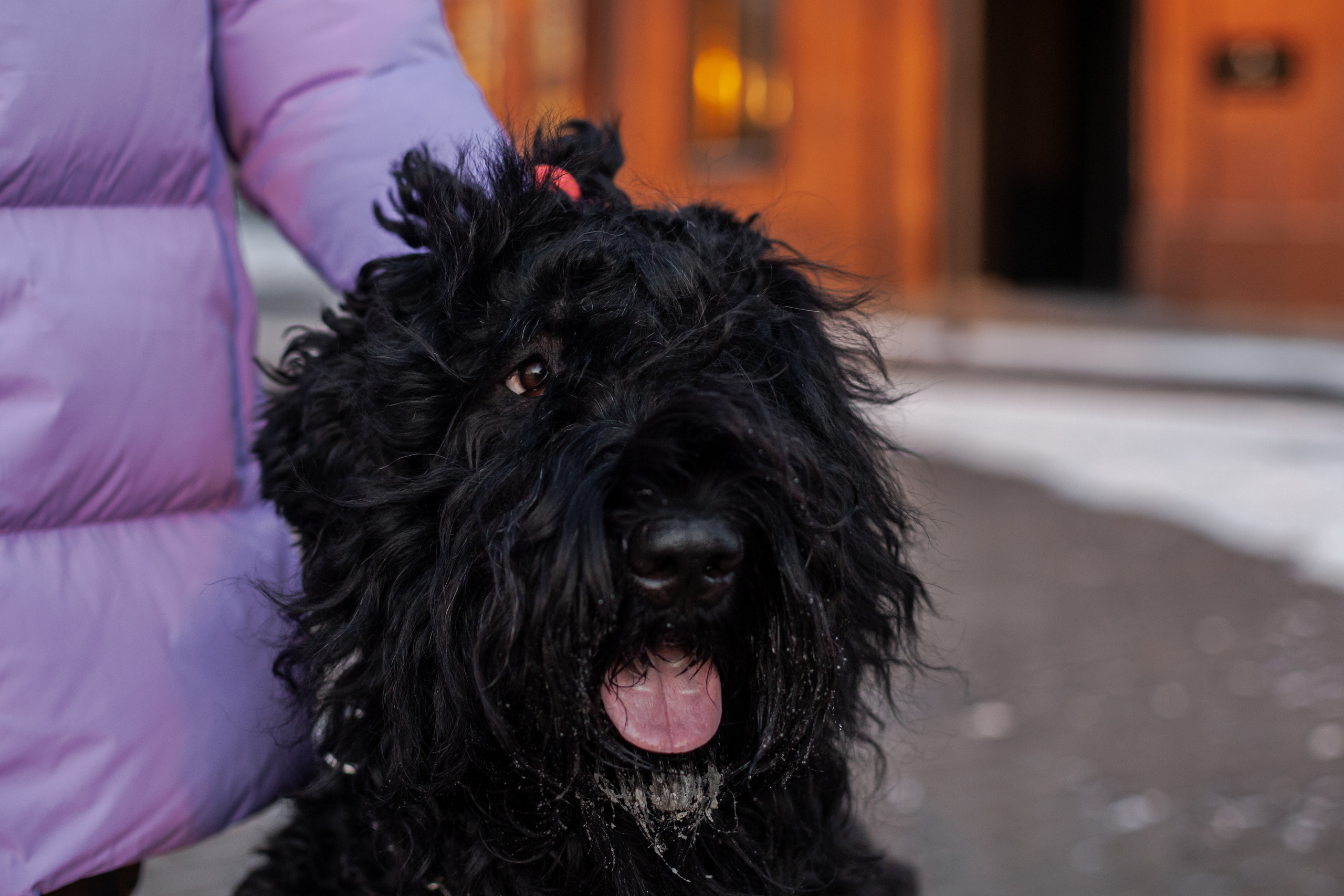 Фотопрогулка завод Арма. Фотограф-анималист Татьяна Степанова