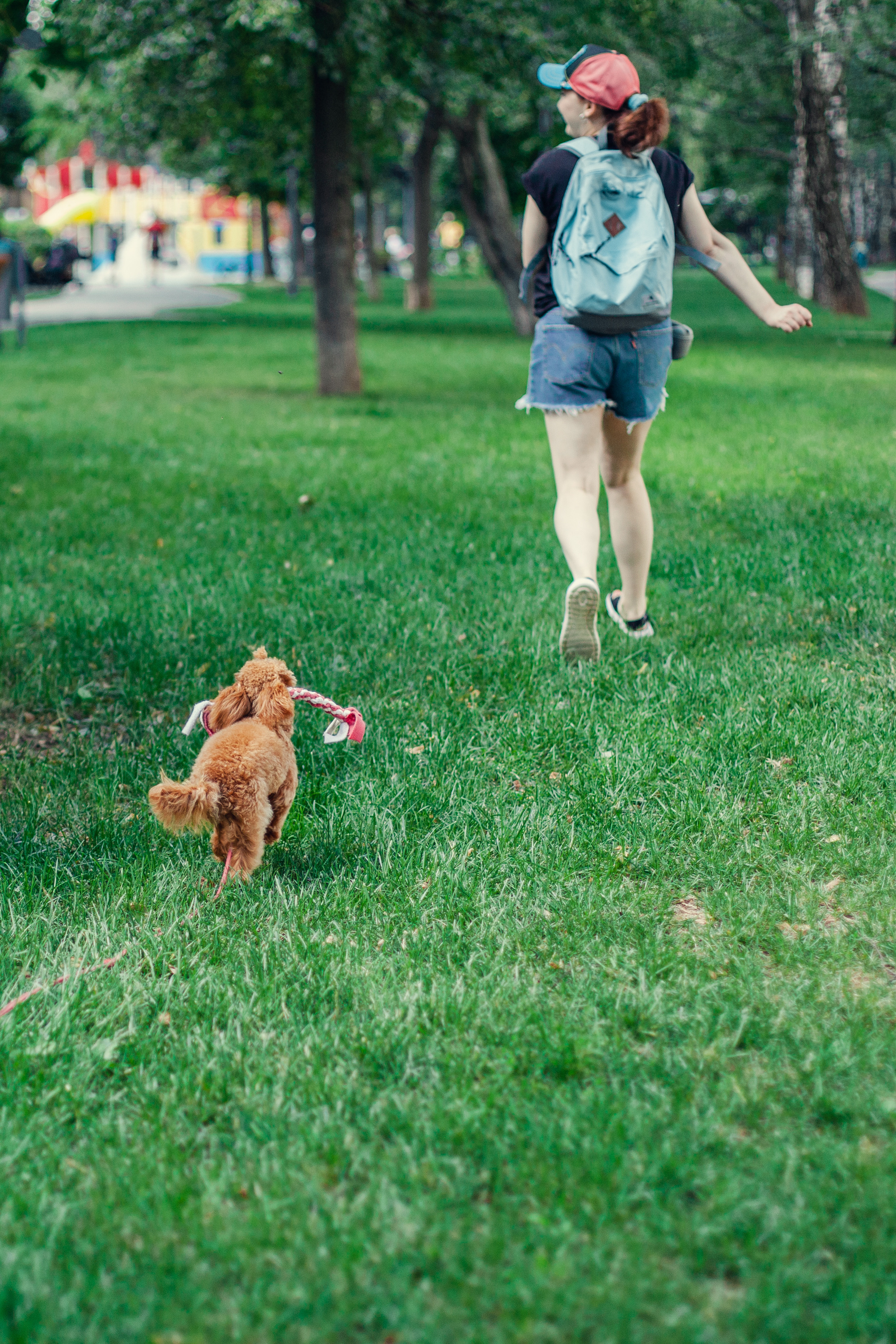Оля и Ася. Фотограф-анималист Татьяна Степанова