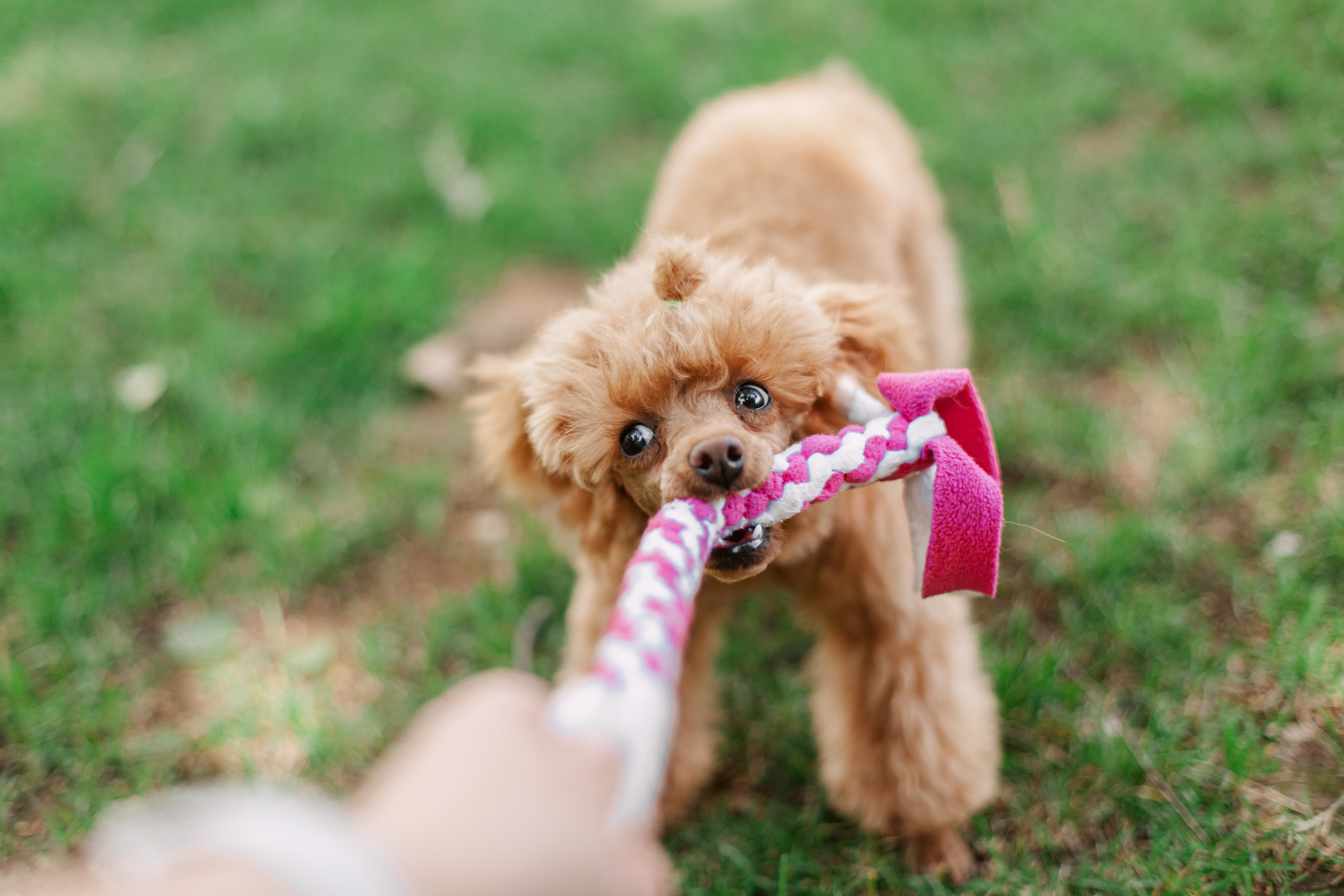 Оля и Ася. Фотограф-анималист Татьяна Степанова