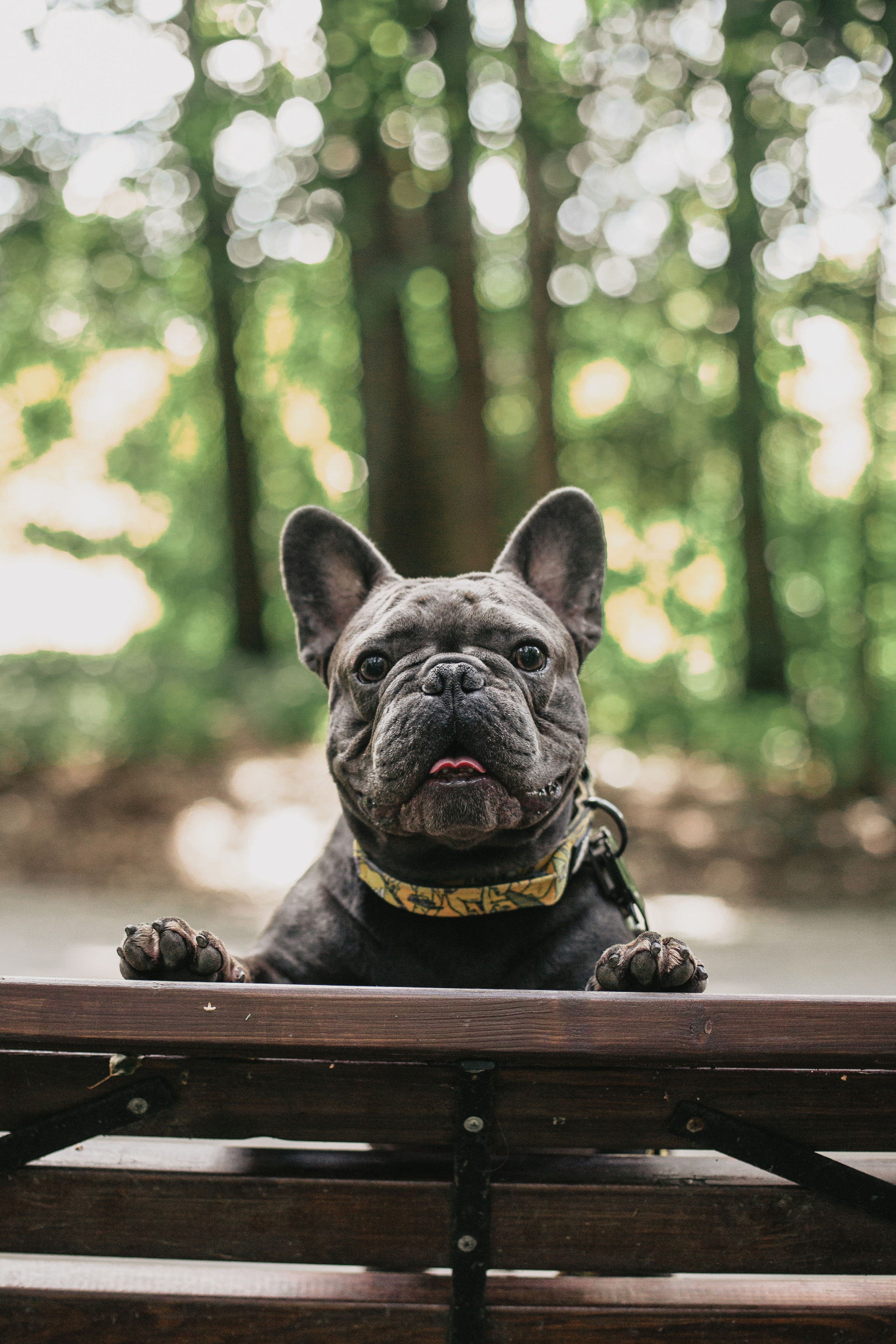 Фотопрогулка у МГУ. Фотограф-анималист Татьяна Степанова