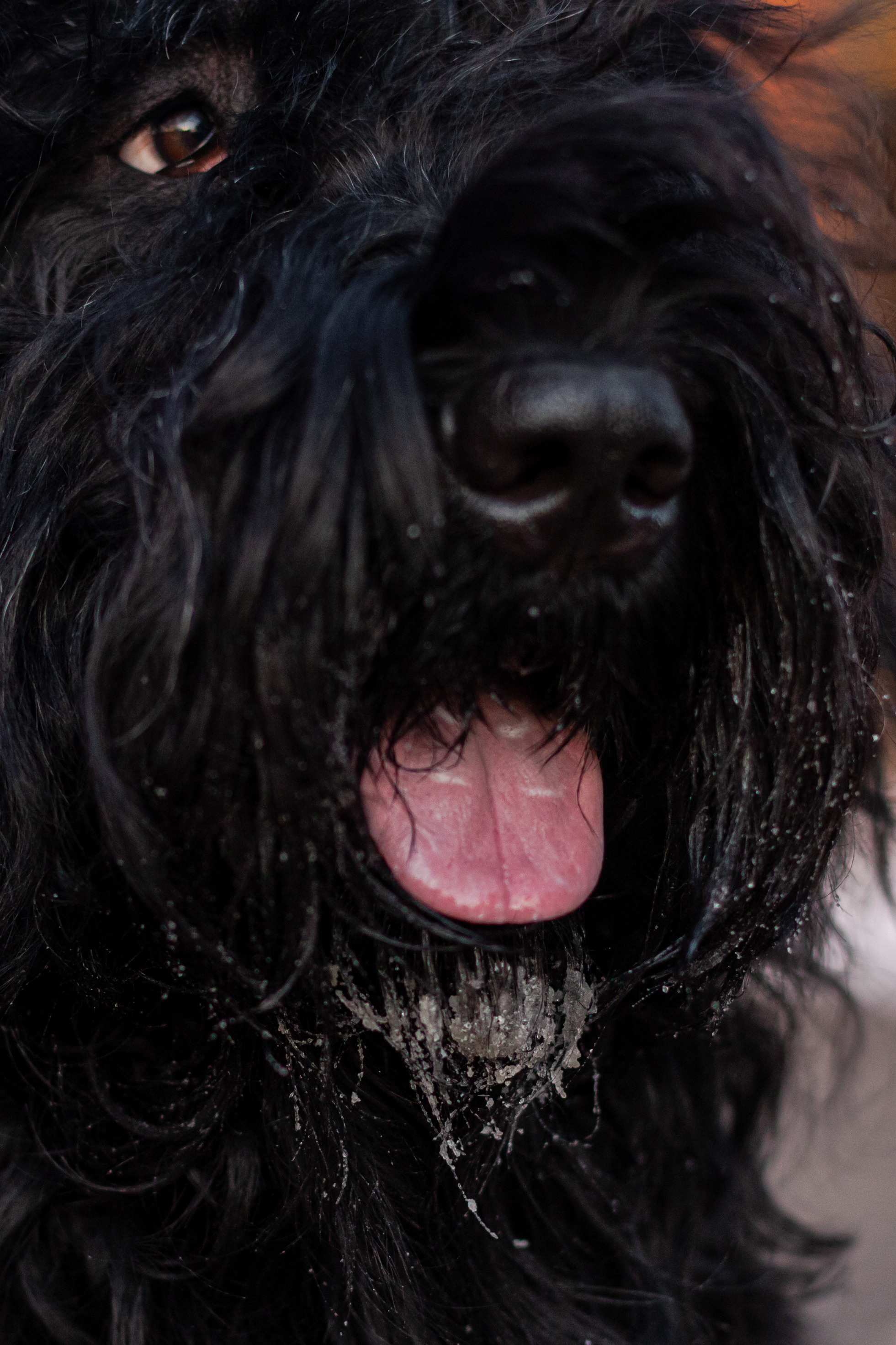 Фотопрогулка завод Арма. Фотограф-анималист Татьяна Степанова