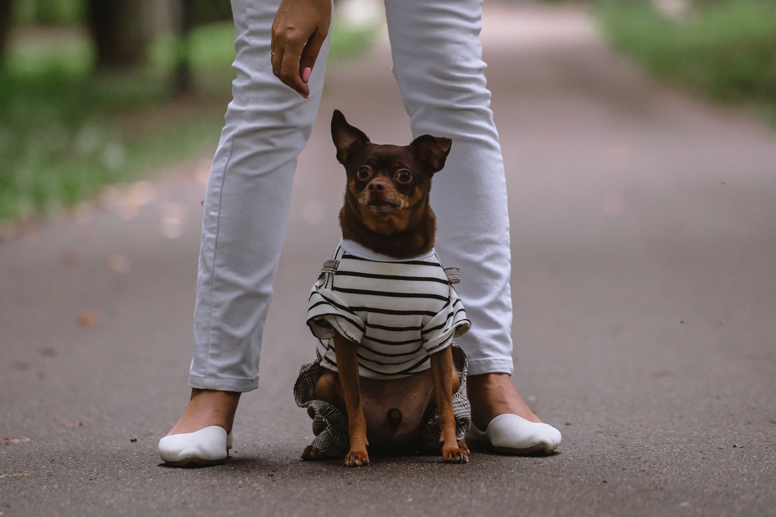 Юля и Леонид. Фотограф-анималист Татьяна Степанова