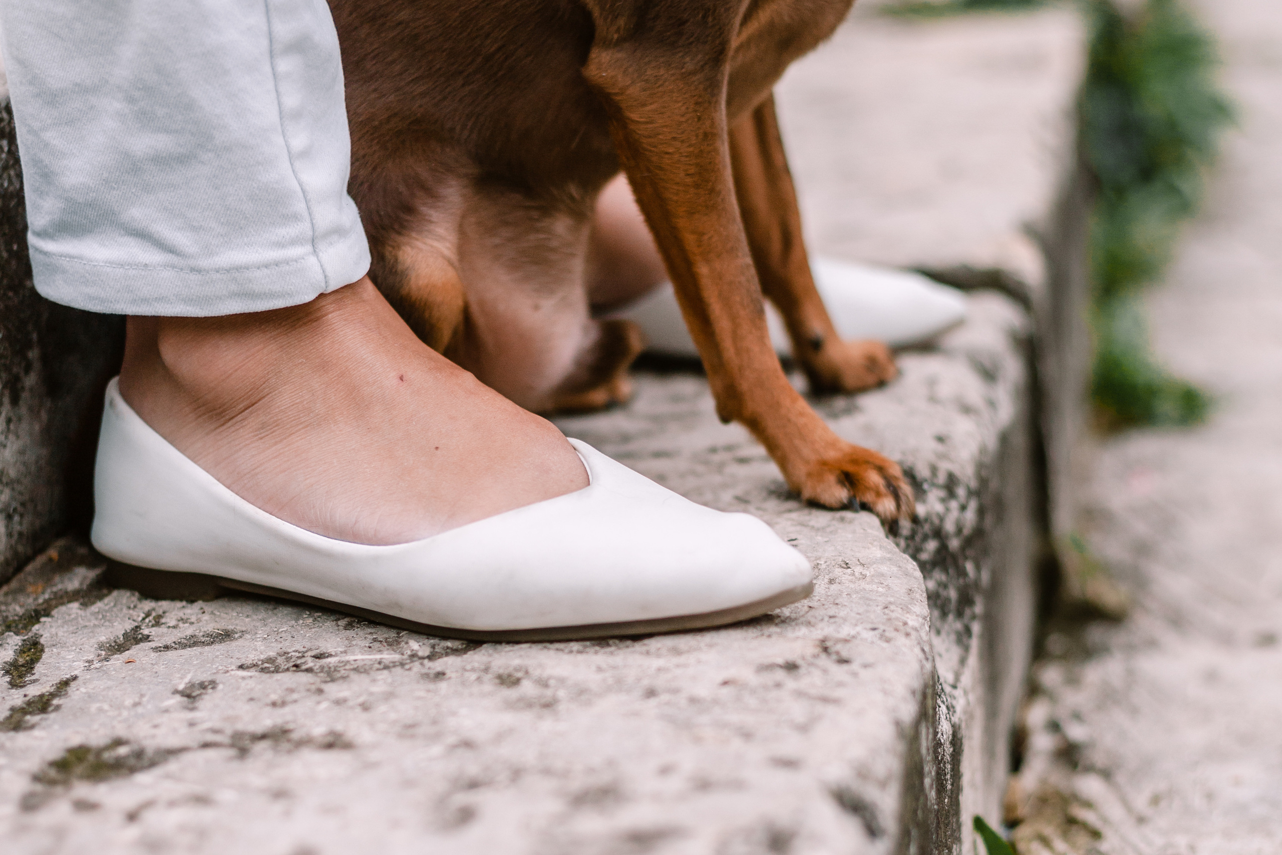 Юля и Леонид. Фотограф-анималист Татьяна Степанова