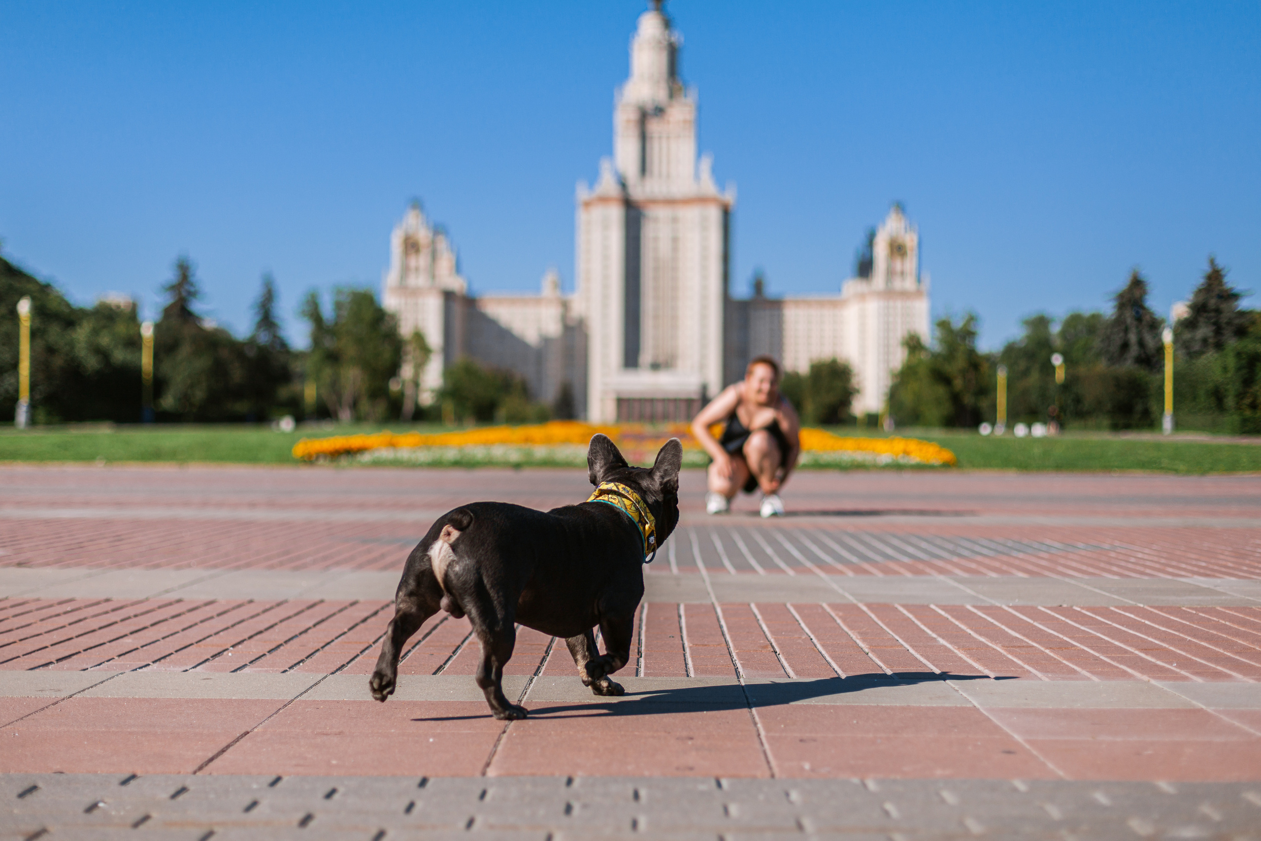 Фотопрогулка у МГУ. Фотограф-анималист Татьяна Степанова