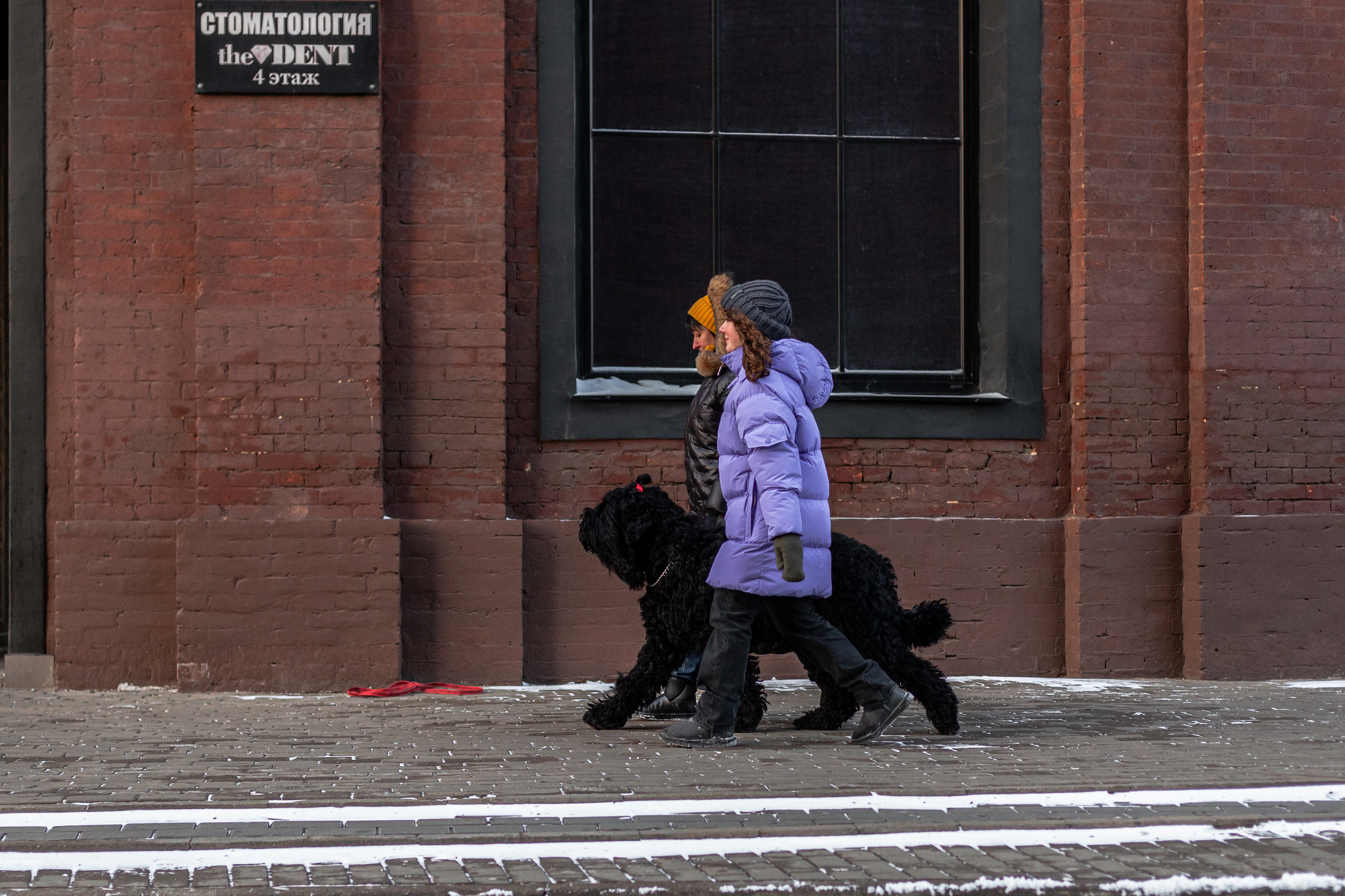 Фотопрогулка завод Арма. Фотограф-анималист Татьяна Степанова