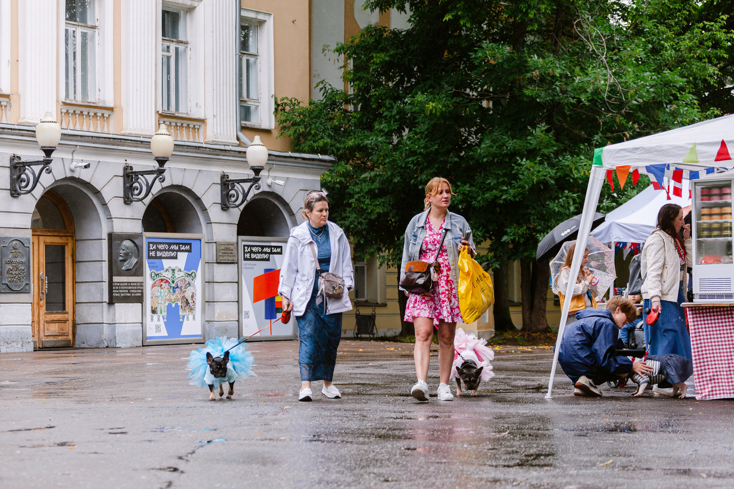 Парад французских бульдогов 15.07.2023. Фотограф-анималист Татьяна Степанова