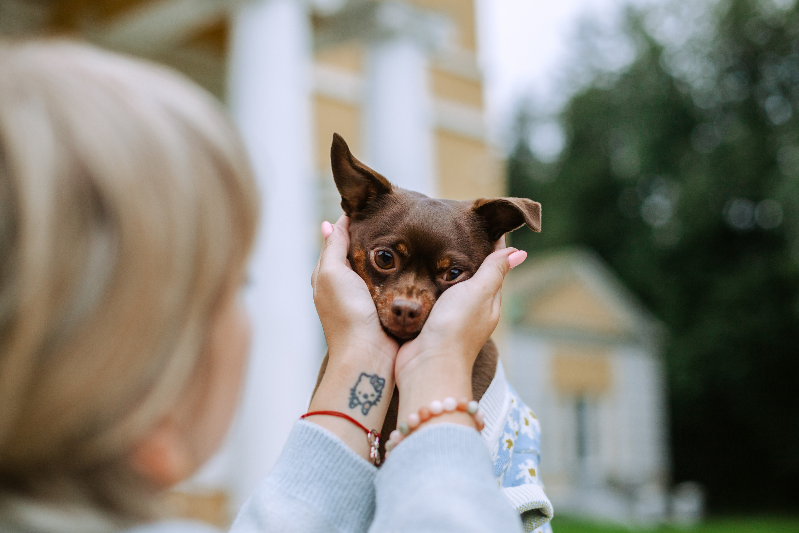 Юля и Леонид. Фотограф-анималист Татьяна Степанова