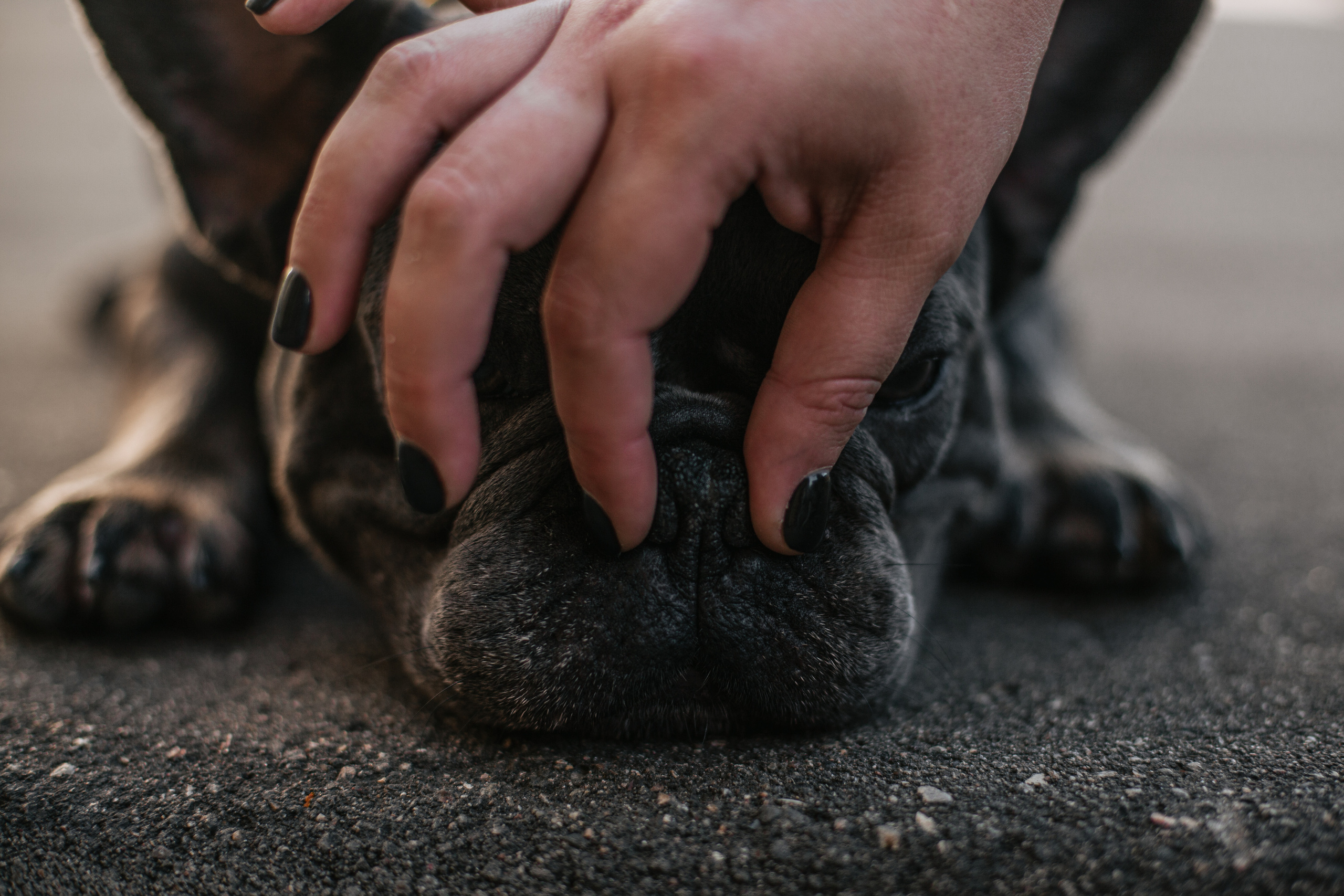 Фотопрогулка у МГУ. Фотограф-анималист Татьяна Степанова