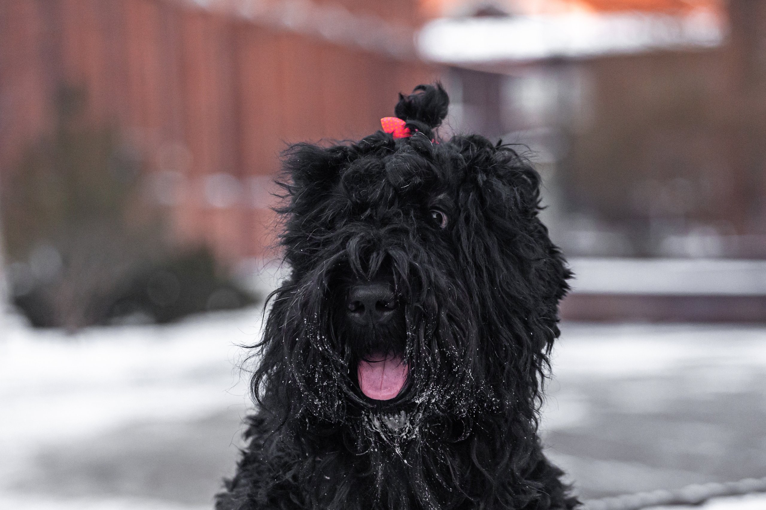 Фотопрогулка завод Арма. Фотограф-анималист Татьяна Степанова