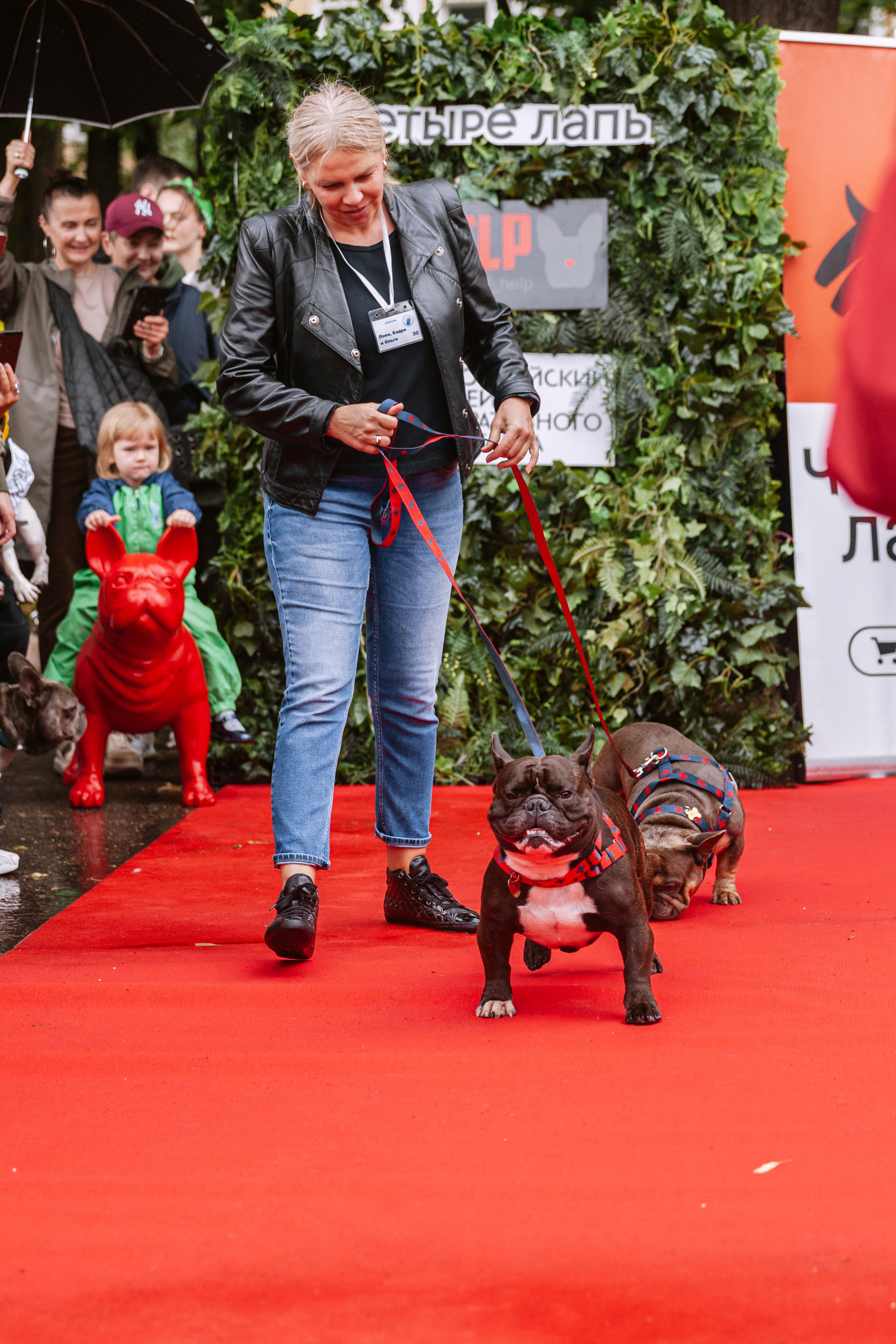 Парад французских бульдогов 15.07.2023. Фотограф-анималист Татьяна Степанова