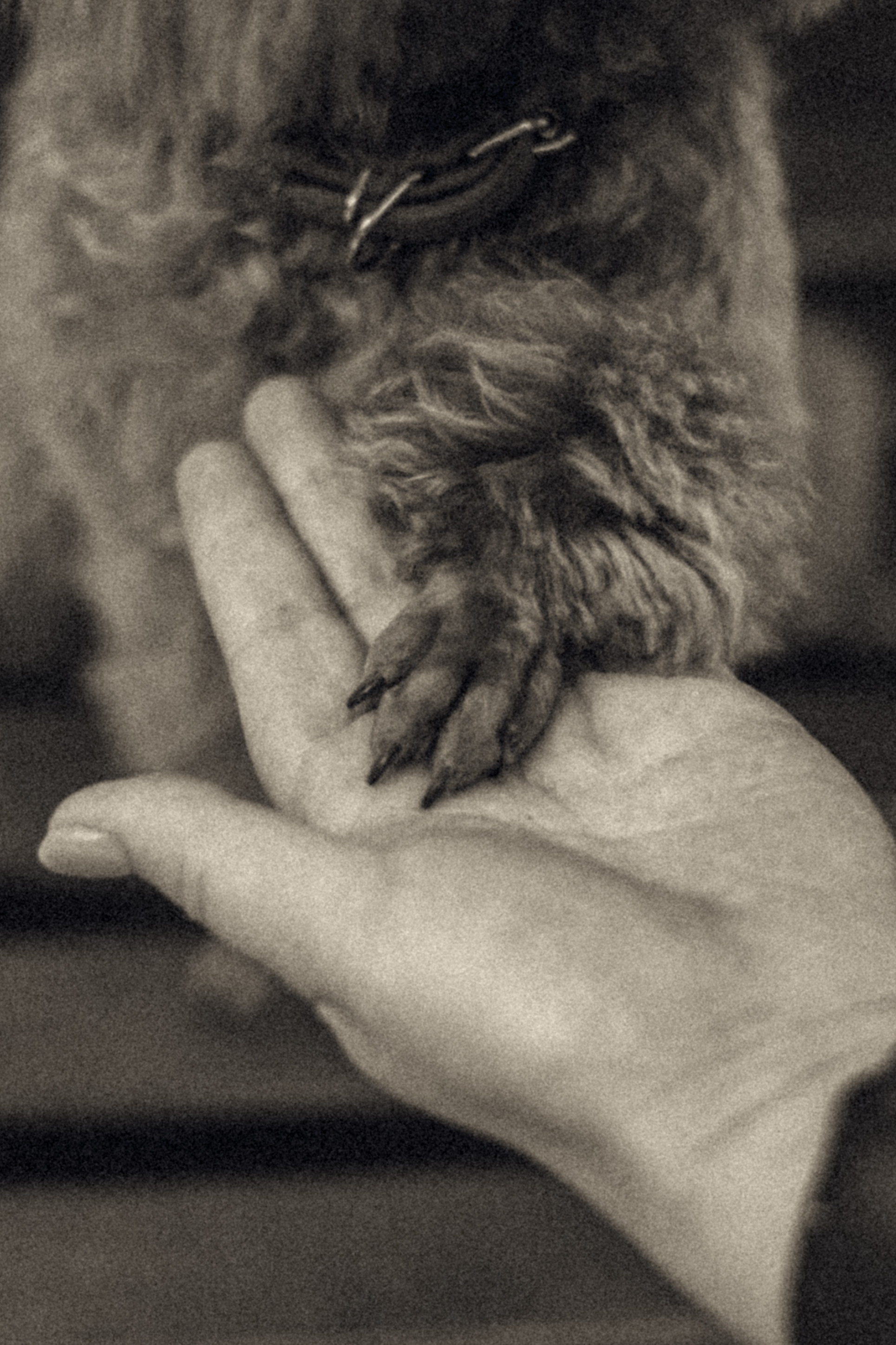 Оля и Ася. Фотограф-анималист Татьяна Степанова