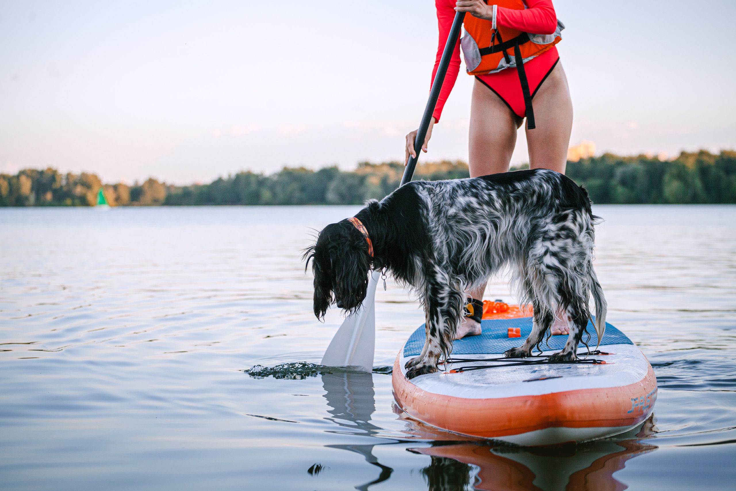 Света и Егор на сапах. Фотограф-анималист Татьяна Степанова