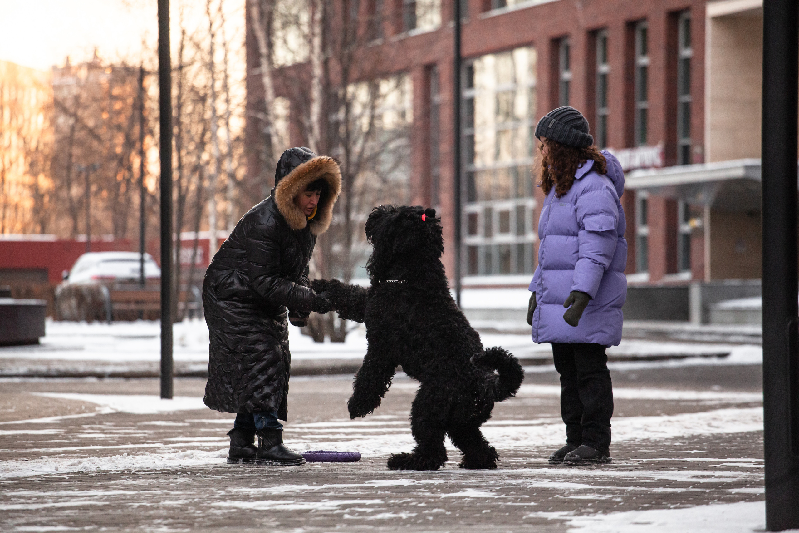 Фотопрогулка завод Арма. Фотограф-анималист Татьяна Степанова