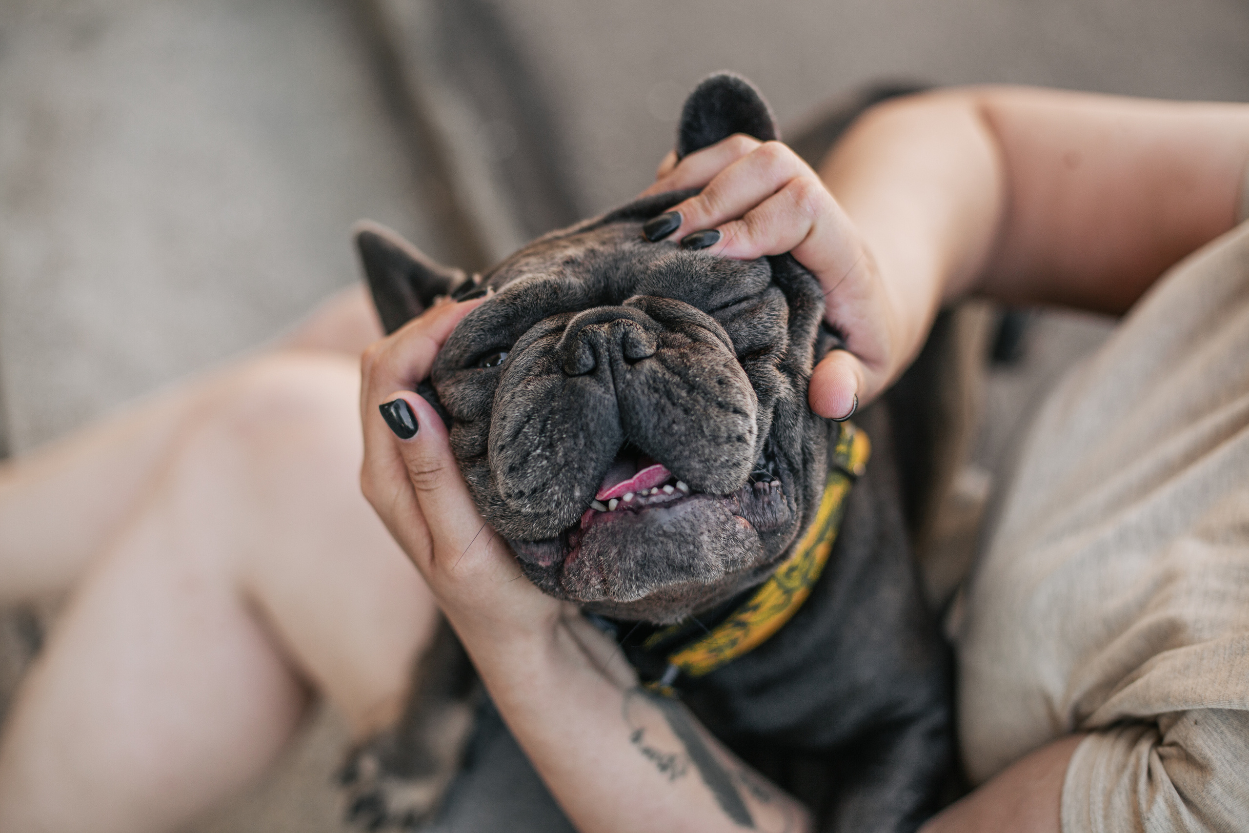 Фотопрогулка у МГУ. Фотограф-анималист Татьяна Степанова