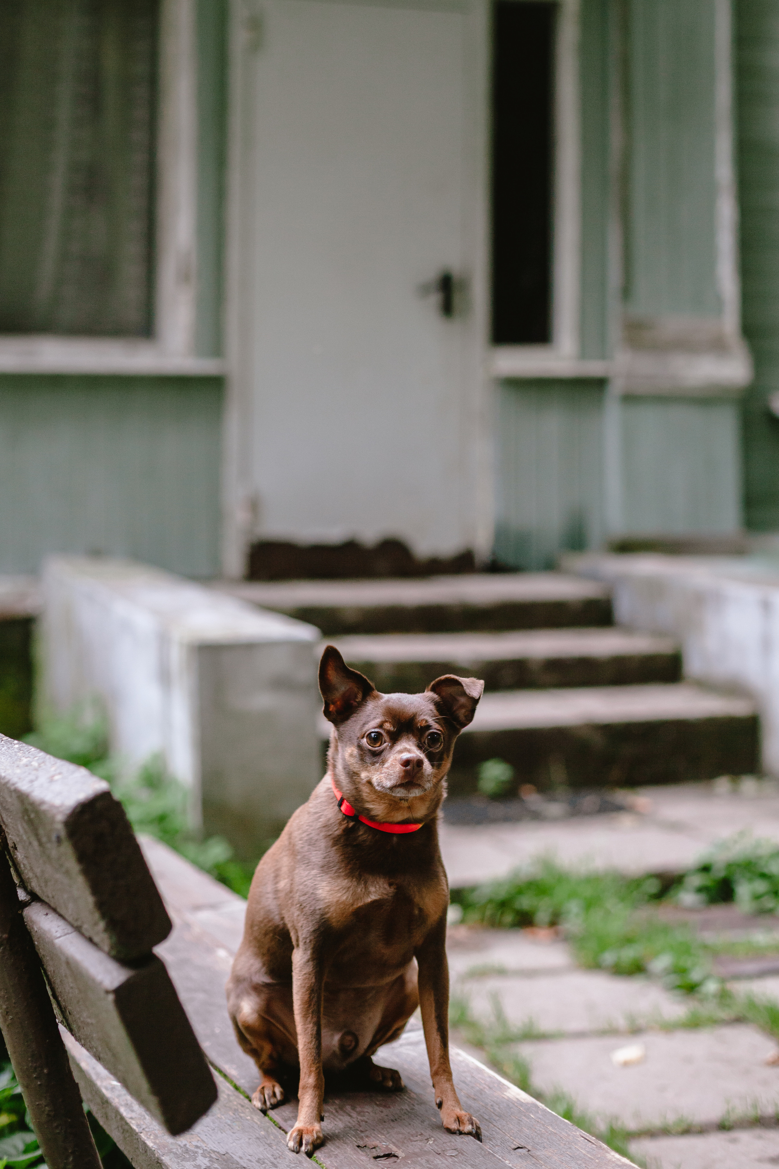 Юля и Леонид. Фотограф-анималист Татьяна Степанова