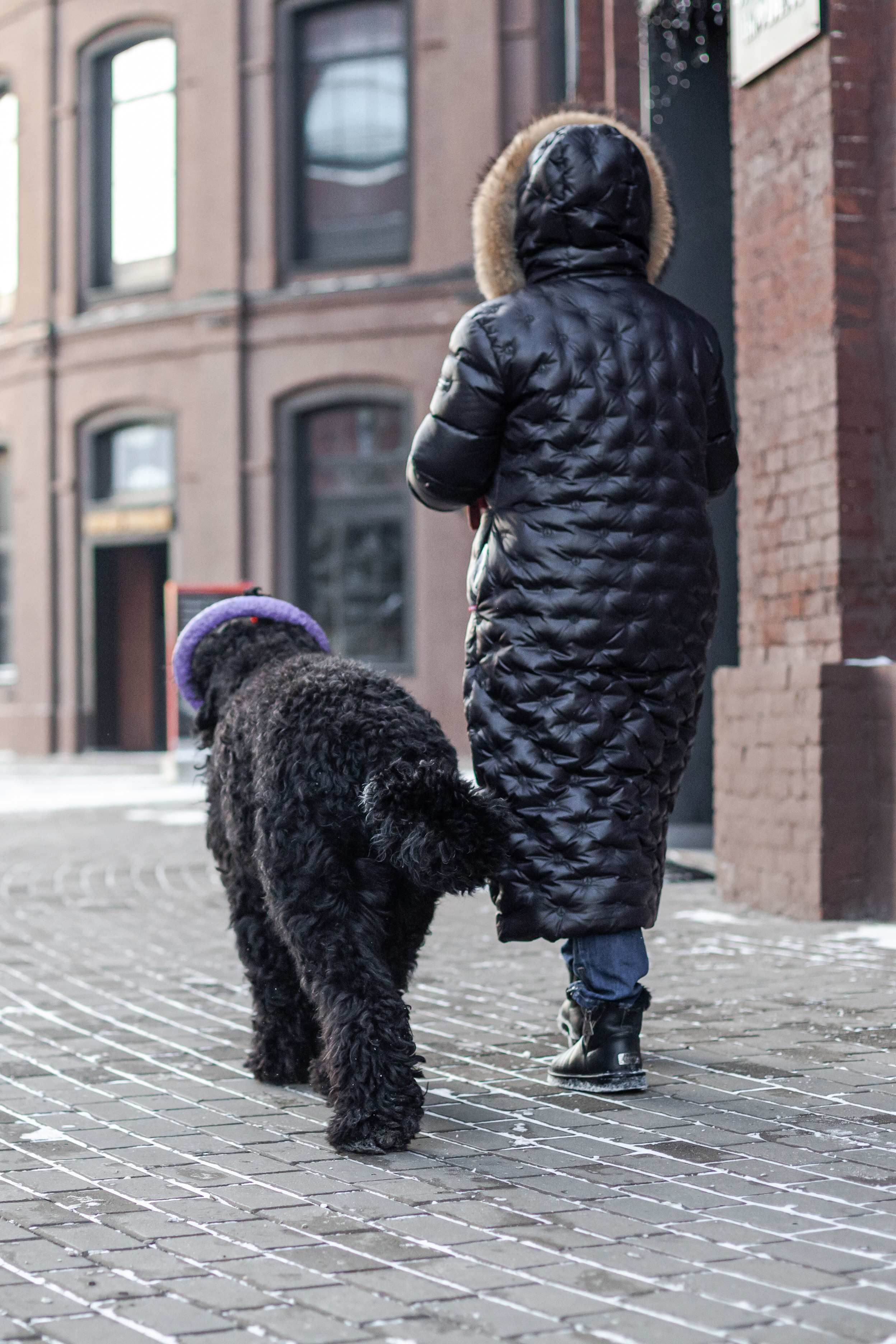 Фотопрогулка завод Арма. Фотограф-анималист Татьяна Степанова