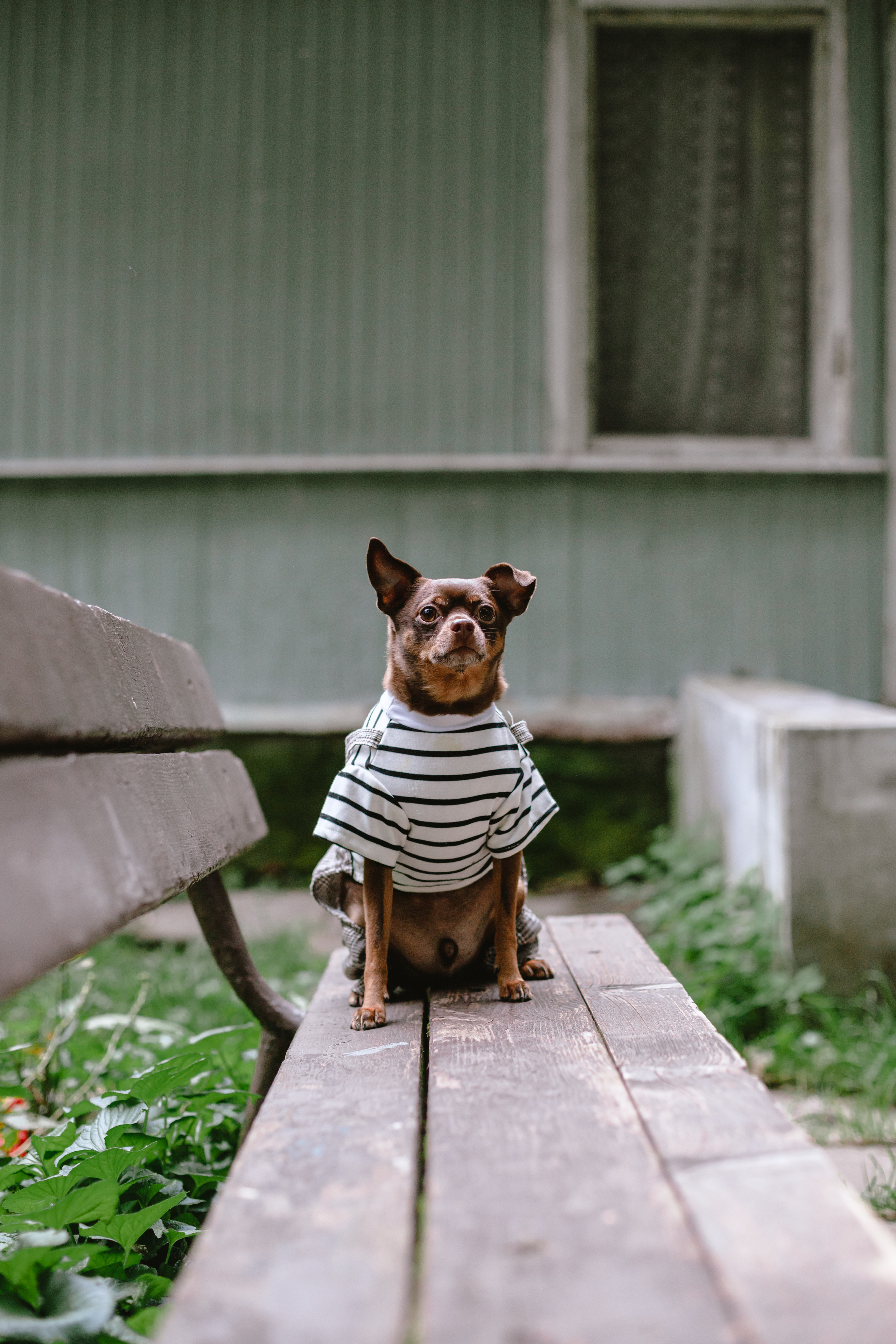 Юля и Леонид. Фотограф-анималист Татьяна Степанова