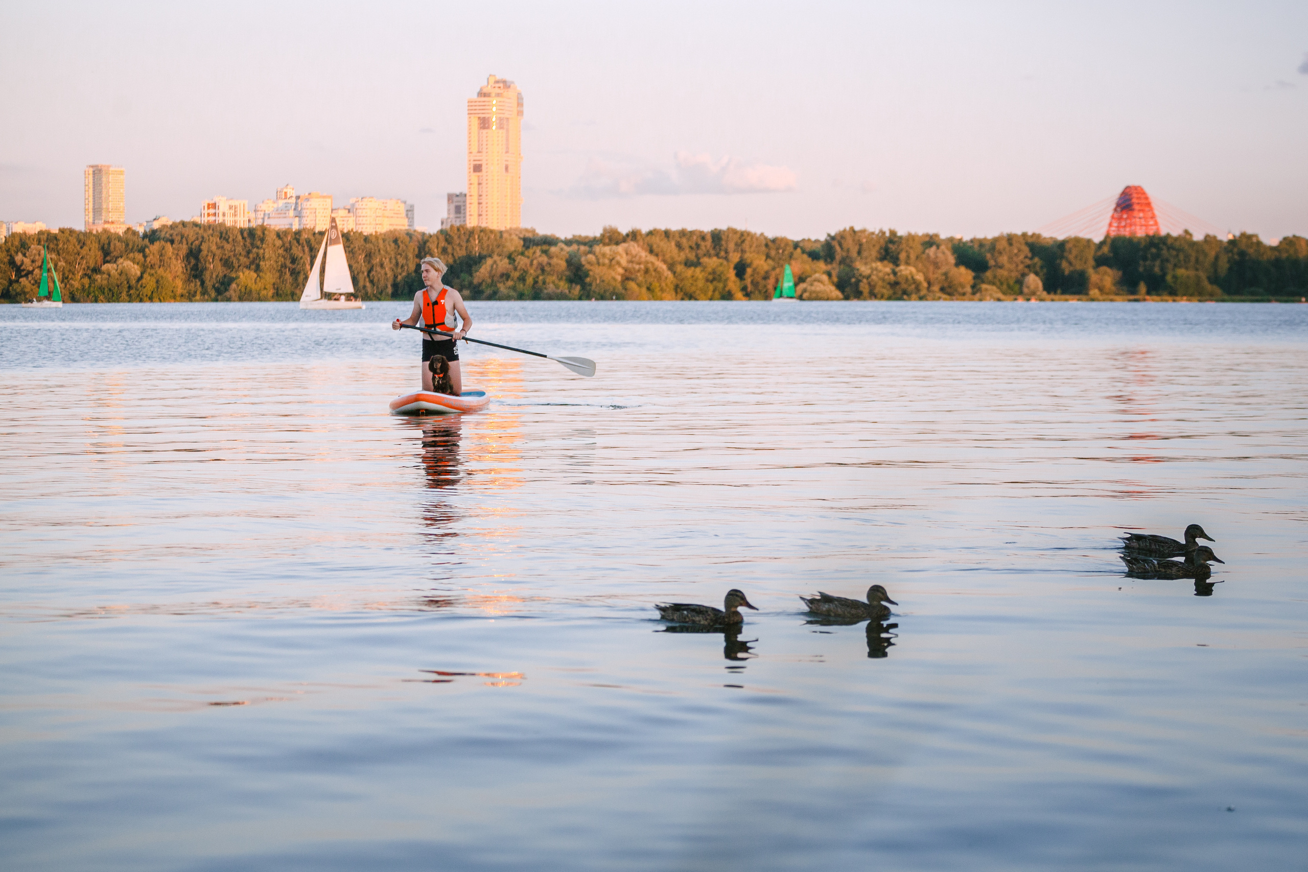 Света и Егор на сапах. Фотограф-анималист Татьяна Степанова