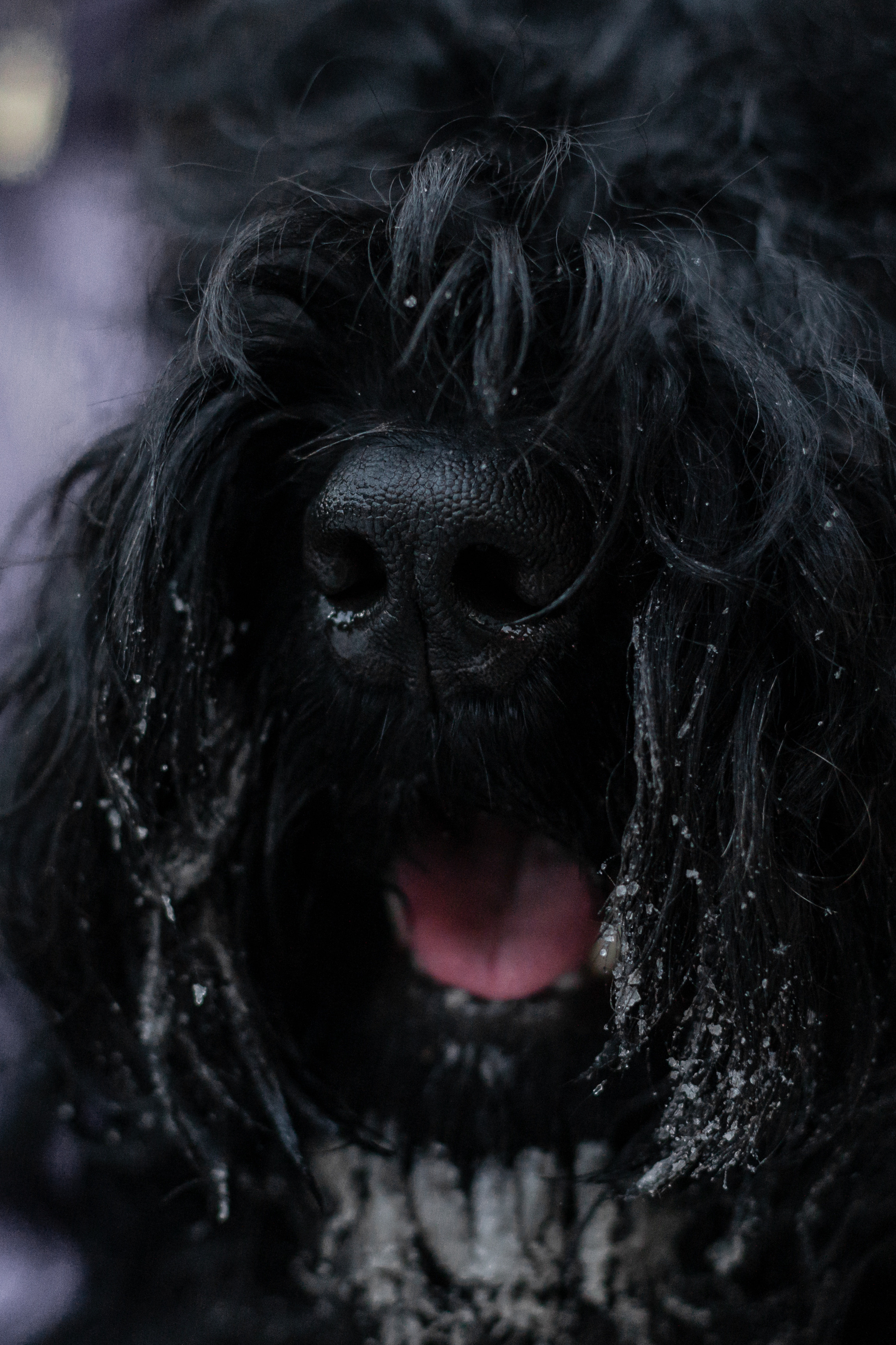 Фотопрогулка завод Арма. Фотограф-анималист Татьяна Степанова