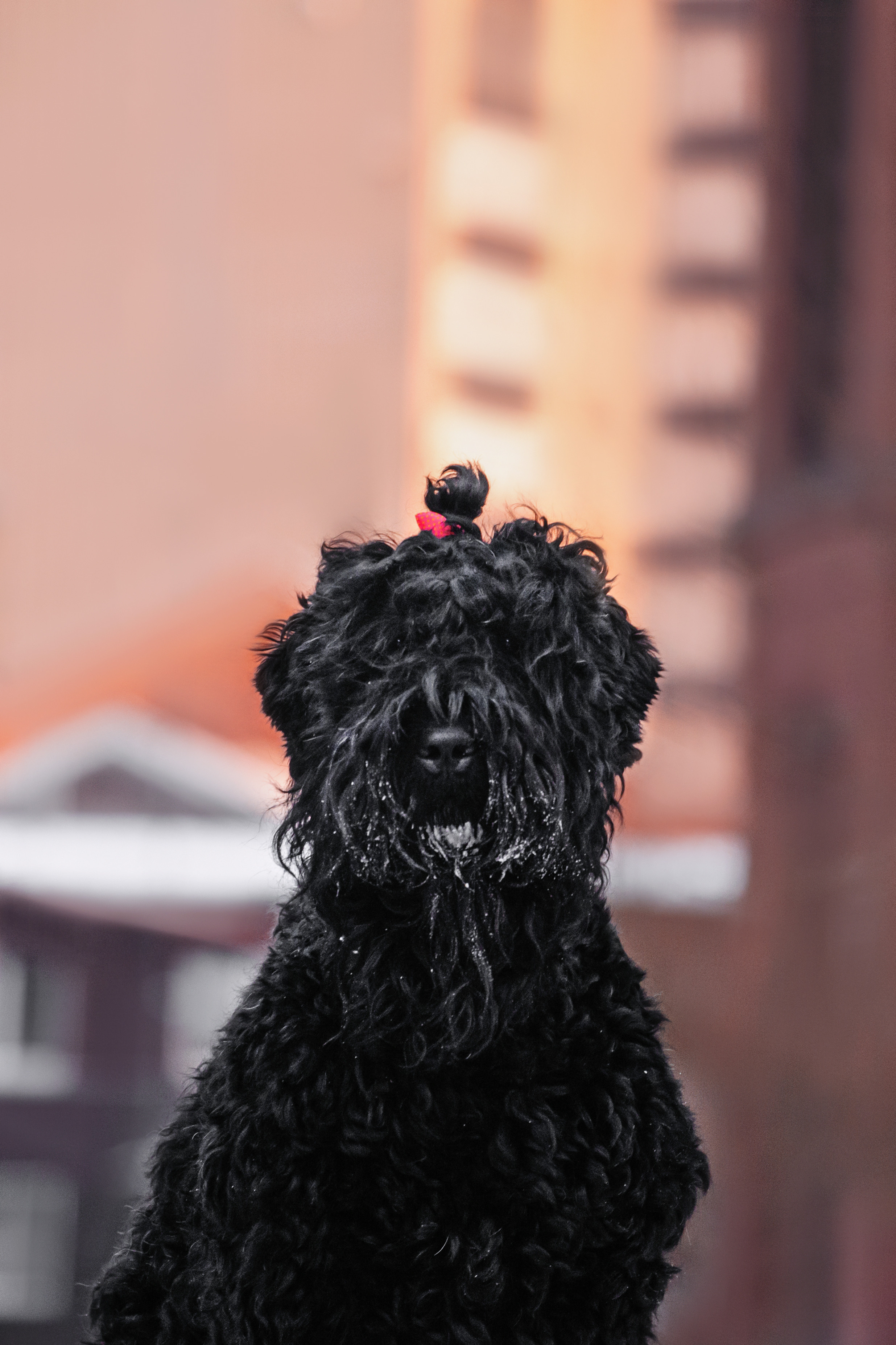 Фотопрогулка завод Арма. Фотограф-анималист Татьяна Степанова