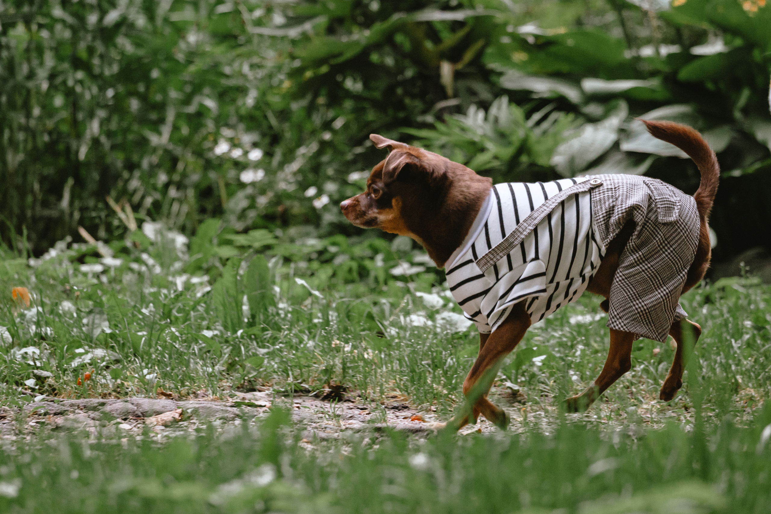 Юля и Леонид. Фотограф-анималист Татьяна Степанова
