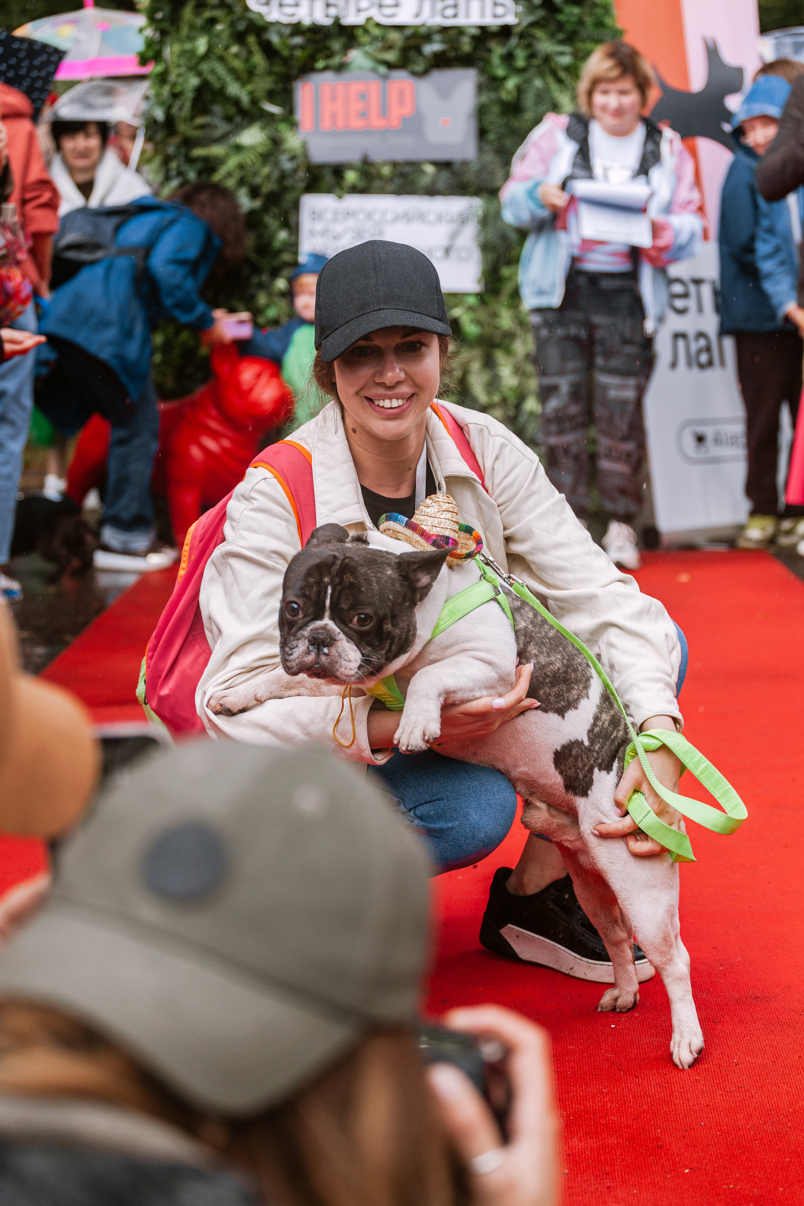 Парад французских бульдогов 15.07.2023. Фотограф-анималист Татьяна Степанова