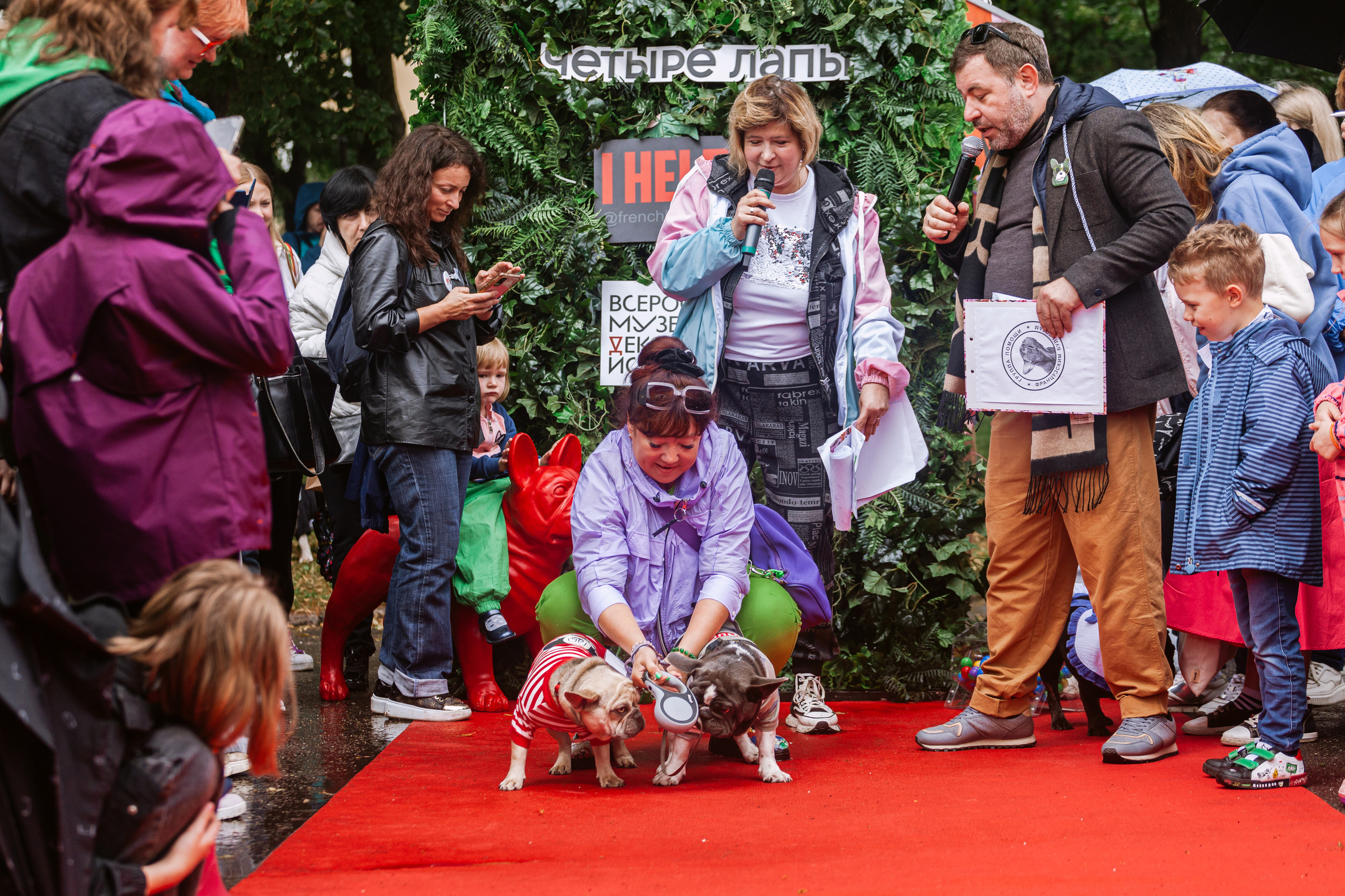 Парад французских бульдогов 15.07.2023. Фотограф-анималист Татьяна Степанова