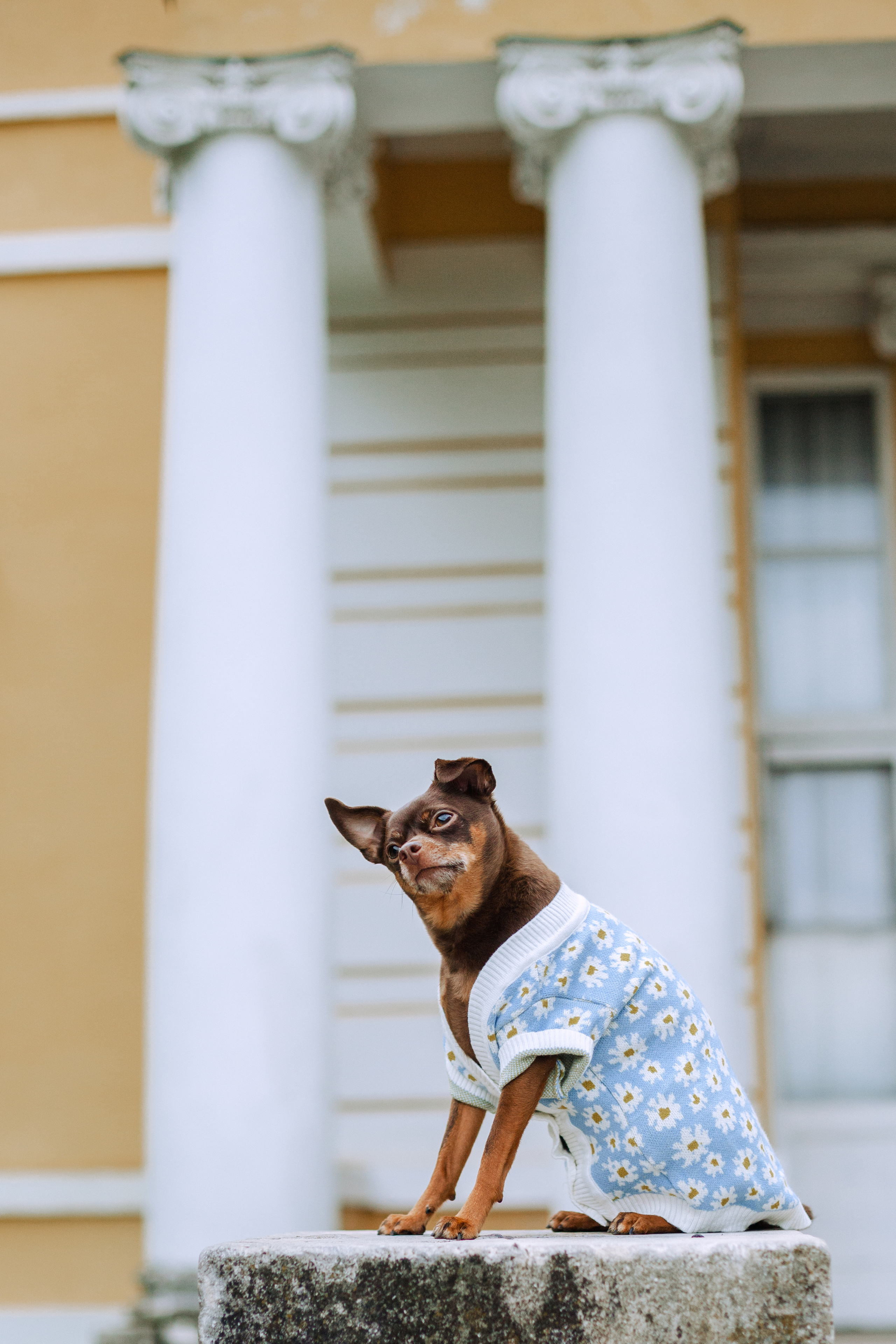 Юля и Леонид. Фотограф-анималист Татьяна Степанова