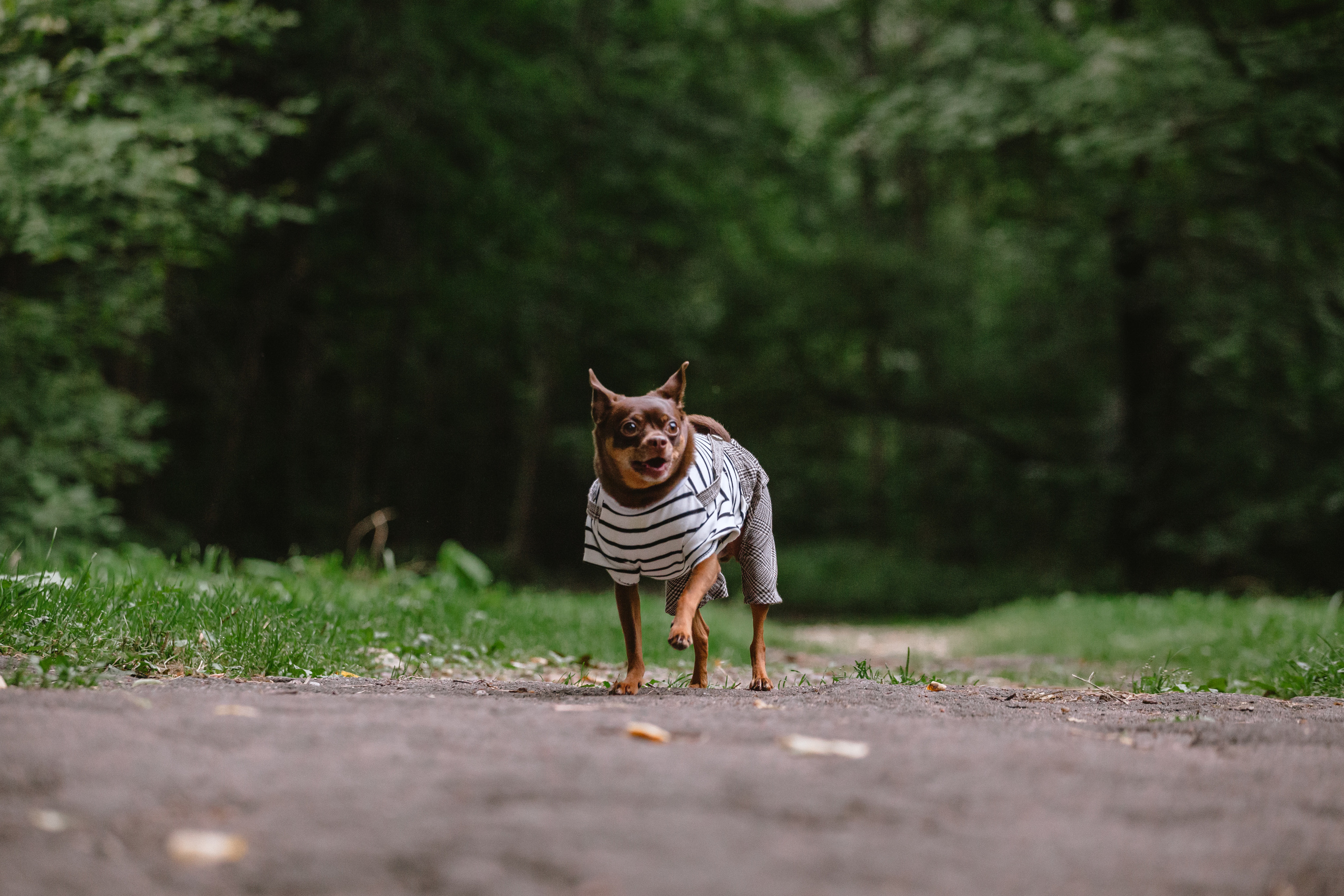 Юля и Леонид. Фотограф-анималист Татьяна Степанова
