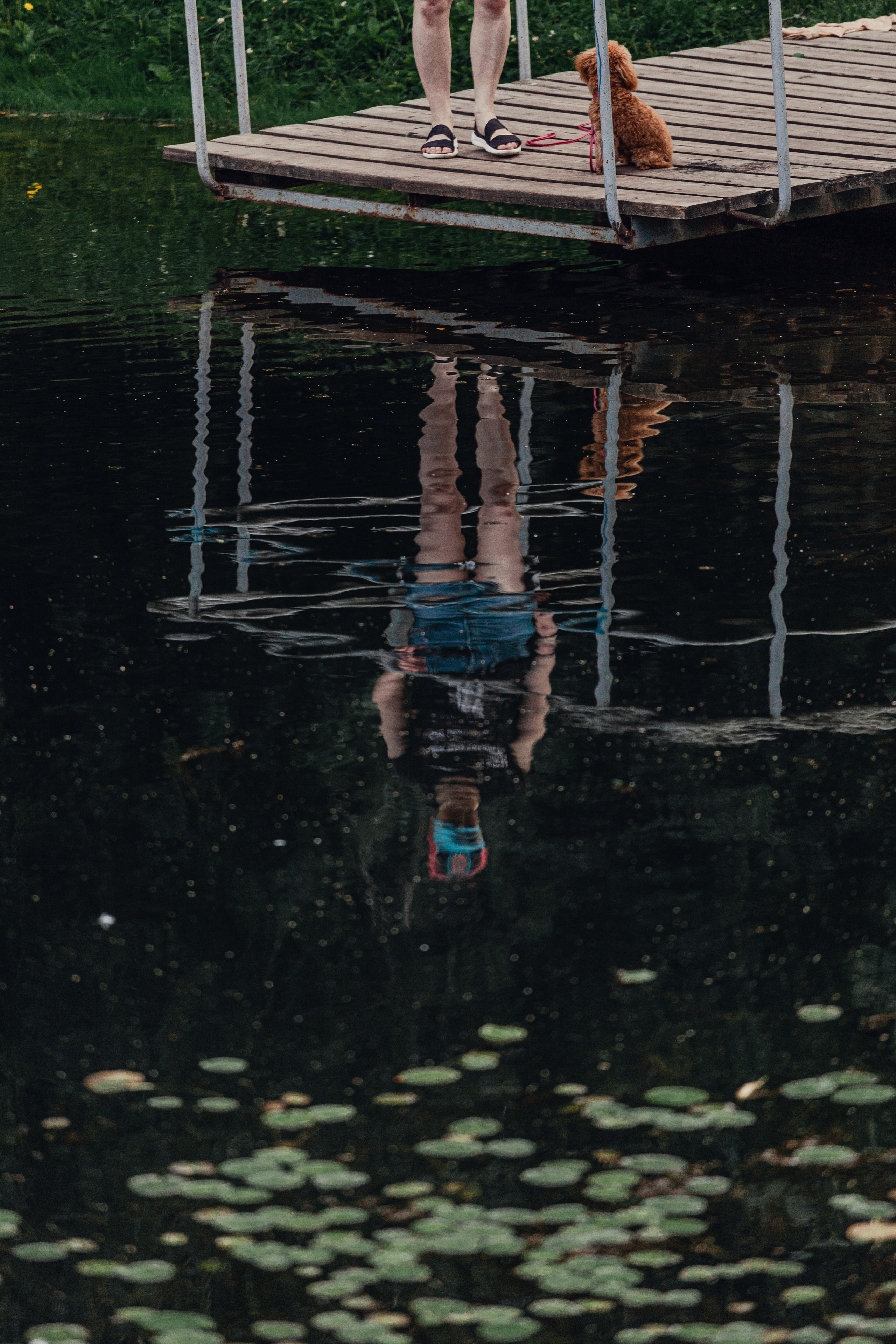 Оля и Ася. Фотограф-анималист Татьяна Степанова