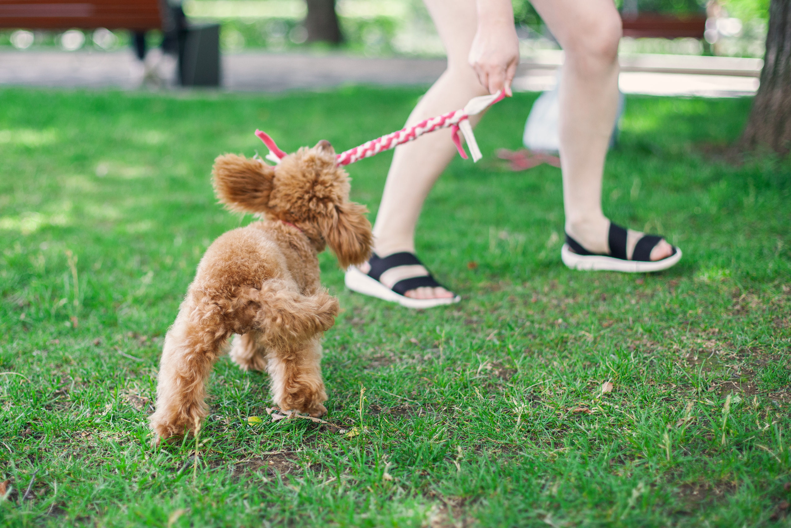 Оля и Ася. Фотограф-анималист Татьяна Степанова