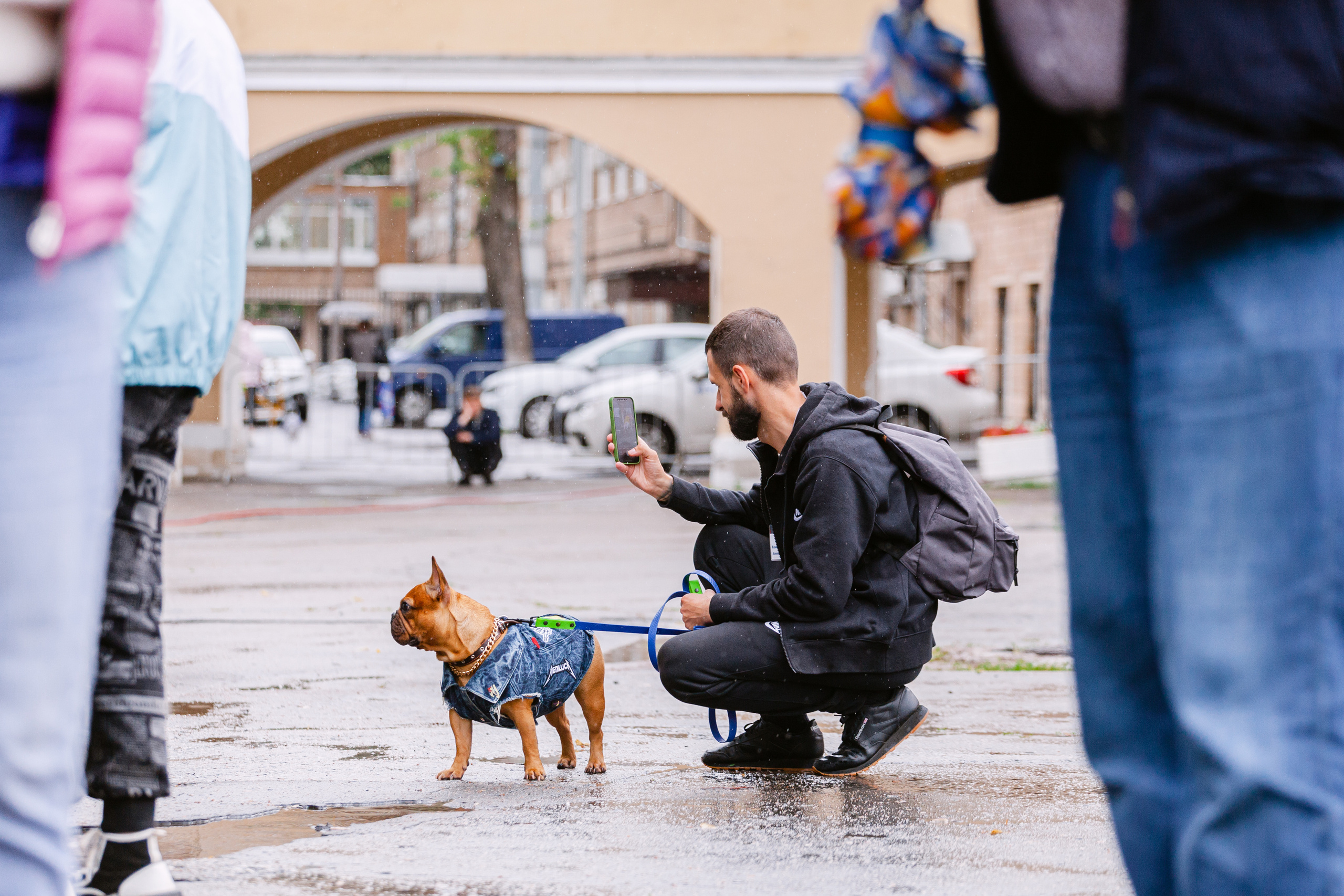 Парад французских бульдогов 15.07.2023. Фотограф-анималист Татьяна Степанова