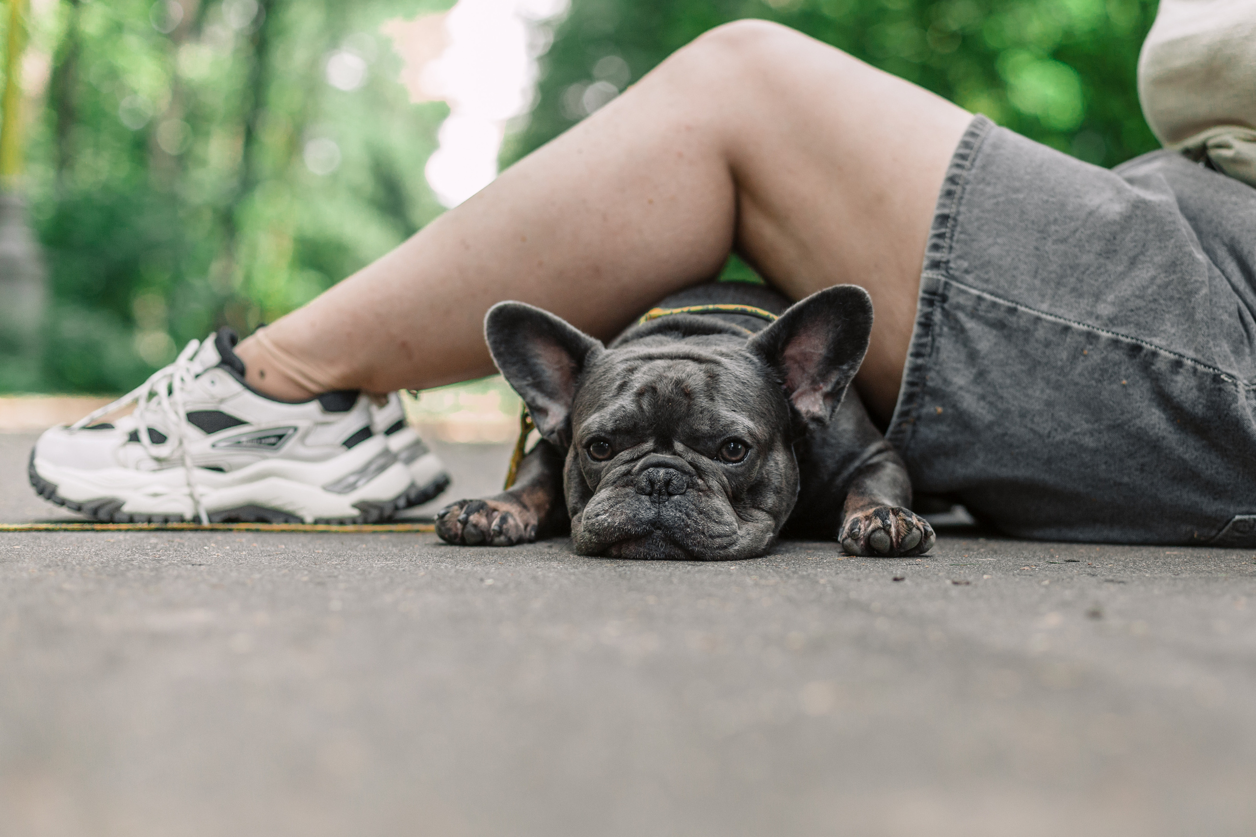 Фотопрогулка у МГУ. Фотограф-анималист Татьяна Степанова