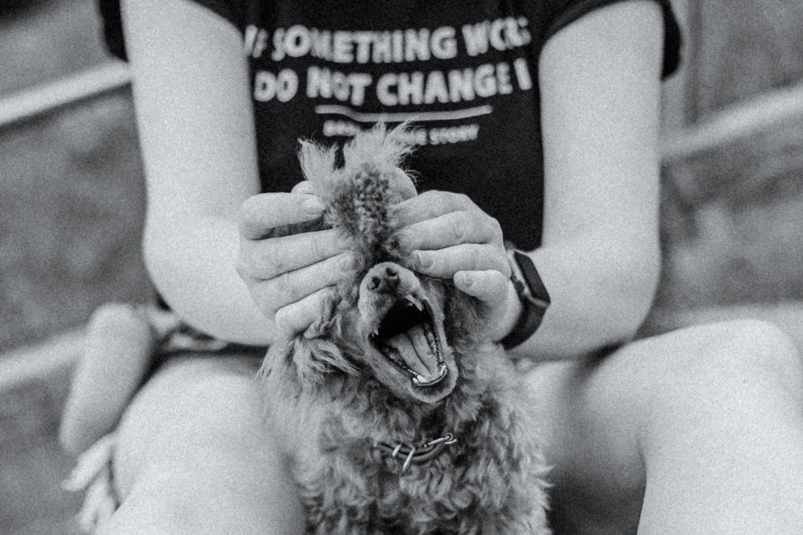 Оля и Ася. Фотограф-анималист Татьяна Степанова