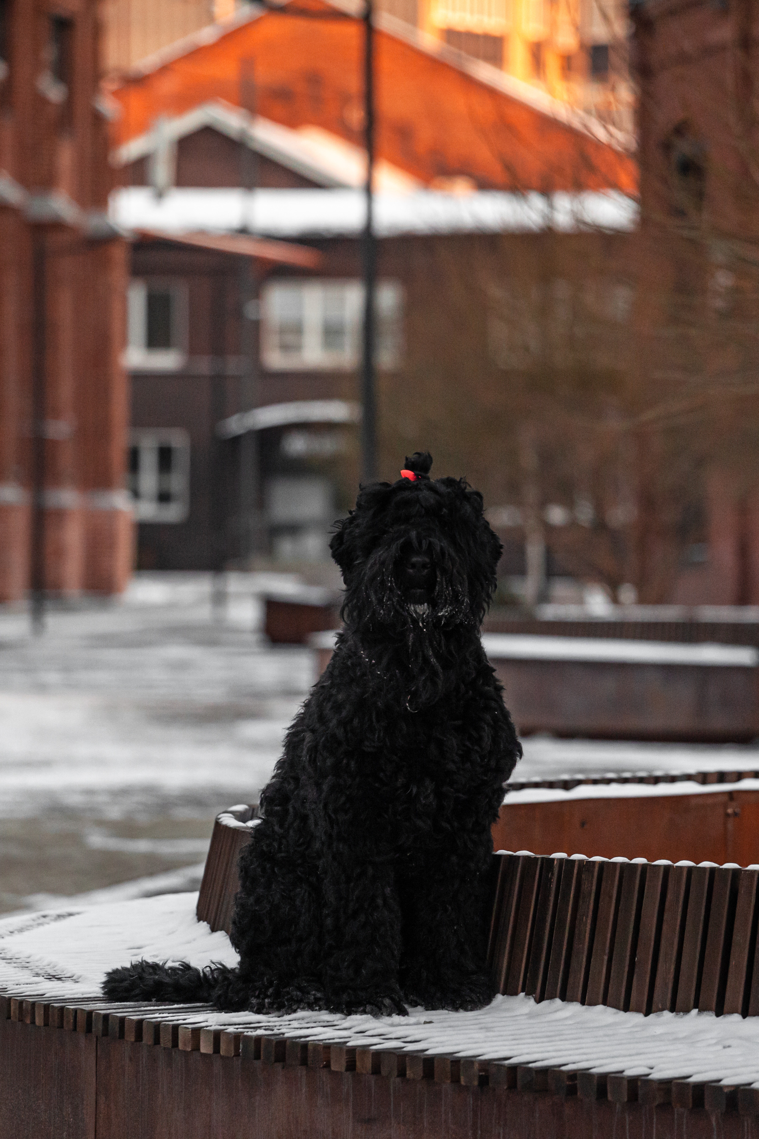 Фотопрогулка завод Арма. Фотограф-анималист Татьяна Степанова