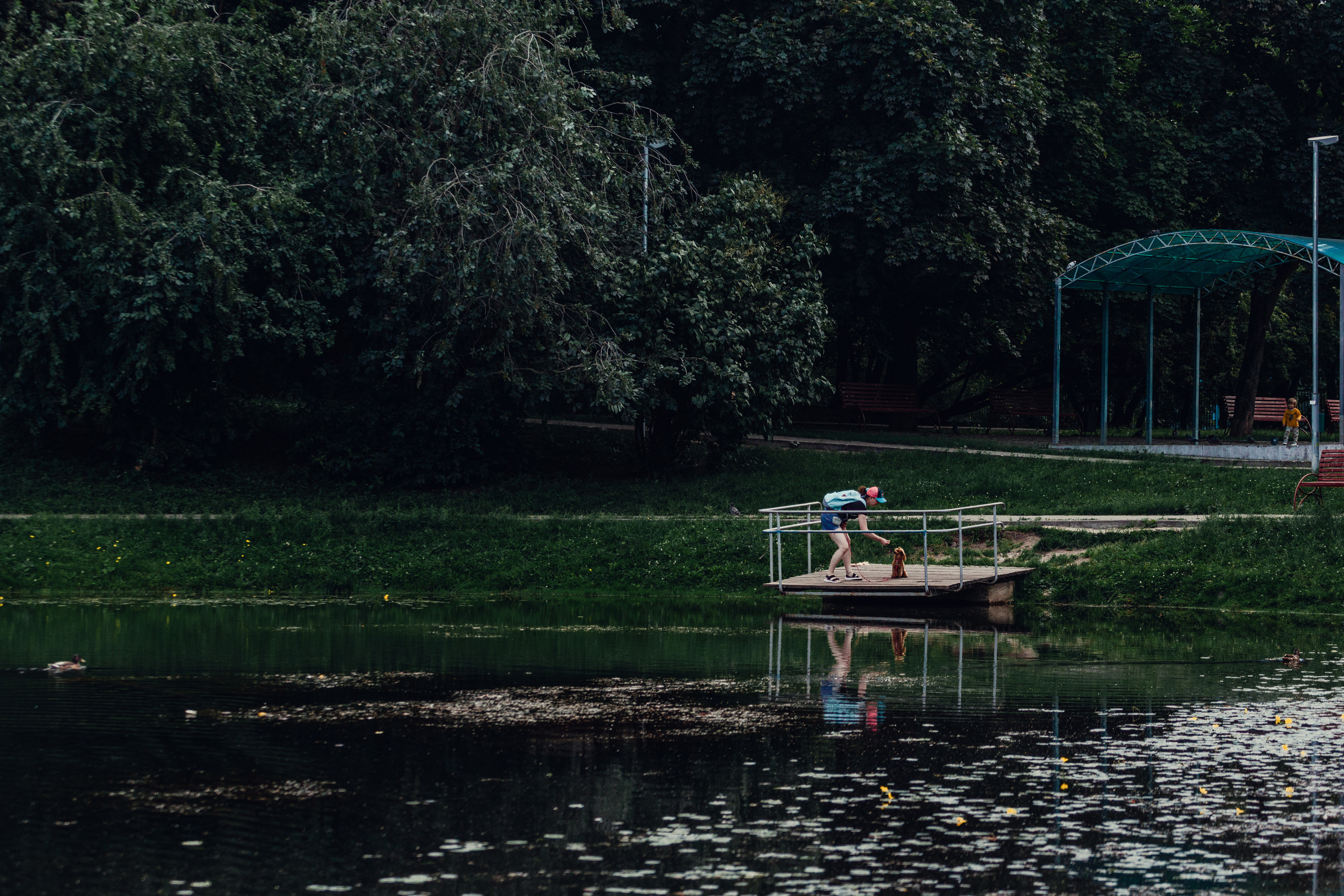 Оля и Ася. Фотограф-анималист Татьяна Степанова