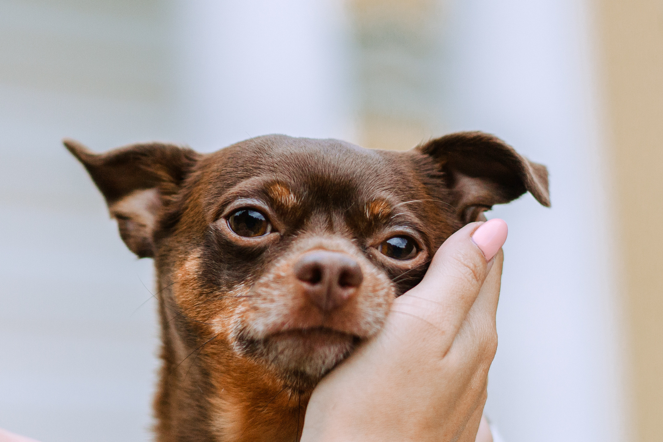 Юля и Леонид. Фотограф-анималист Татьяна Степанова