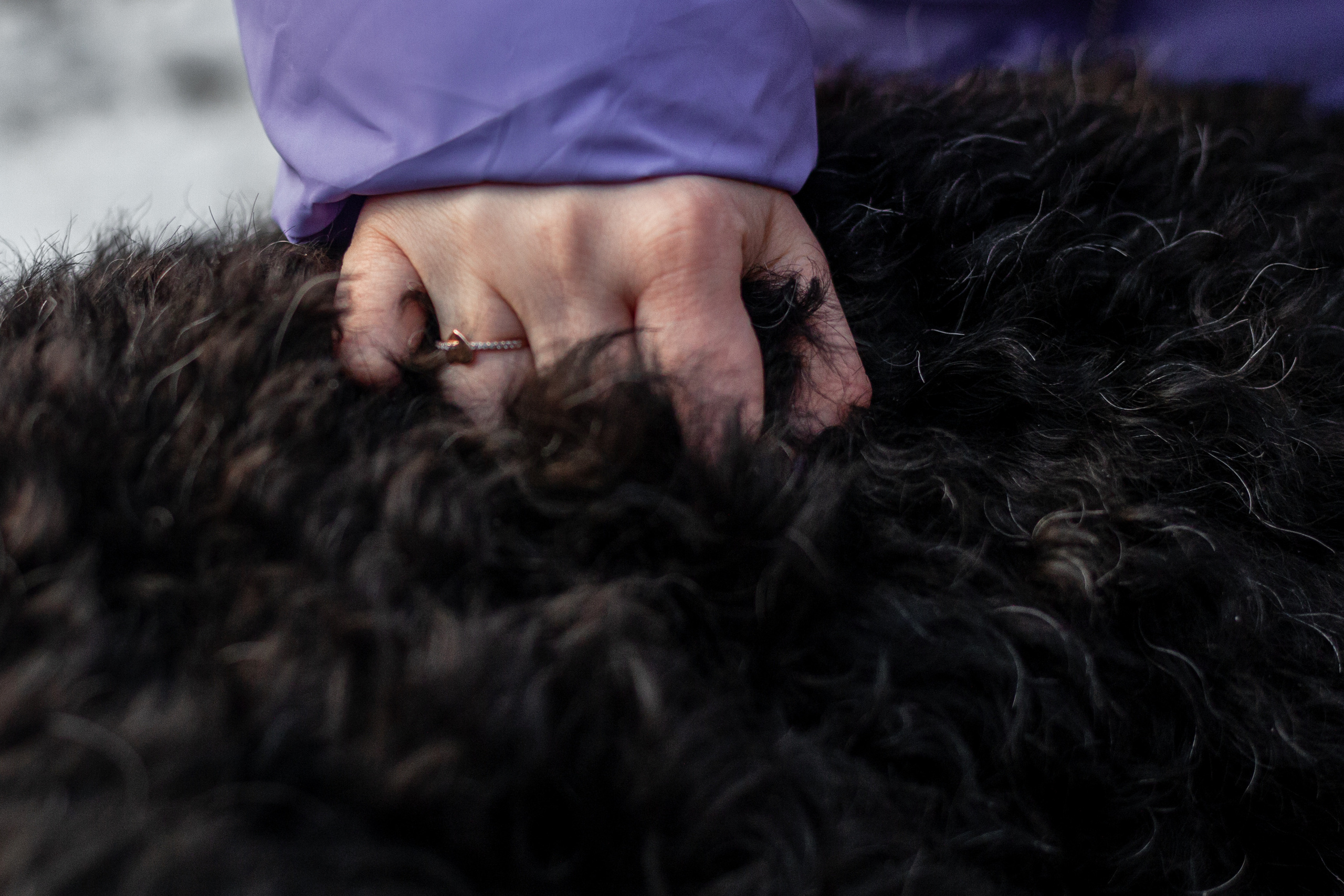 Фотопрогулка завод Арма. Фотограф-анималист Татьяна Степанова