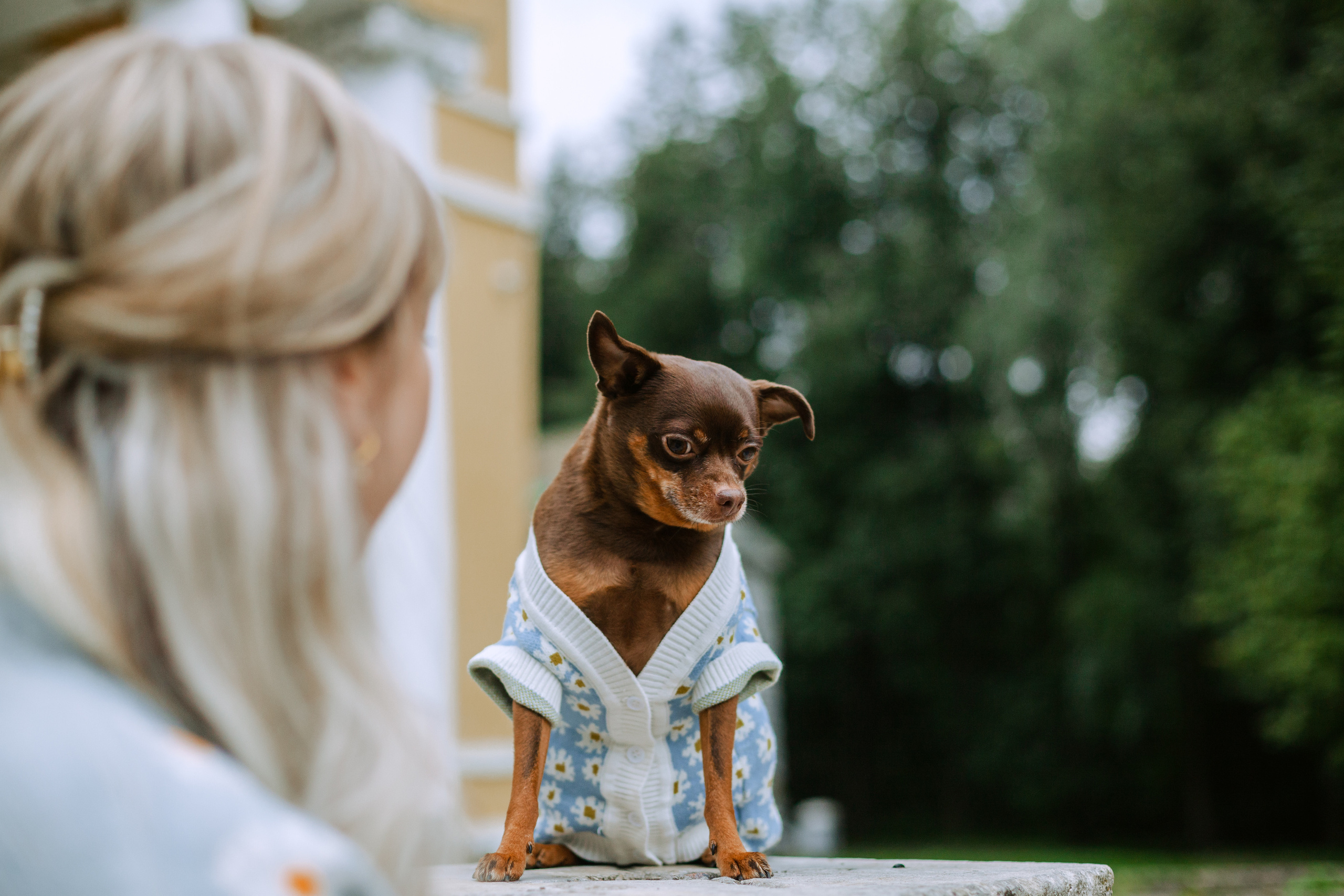 Юля и Леонид. Фотограф-анималист Татьяна Степанова