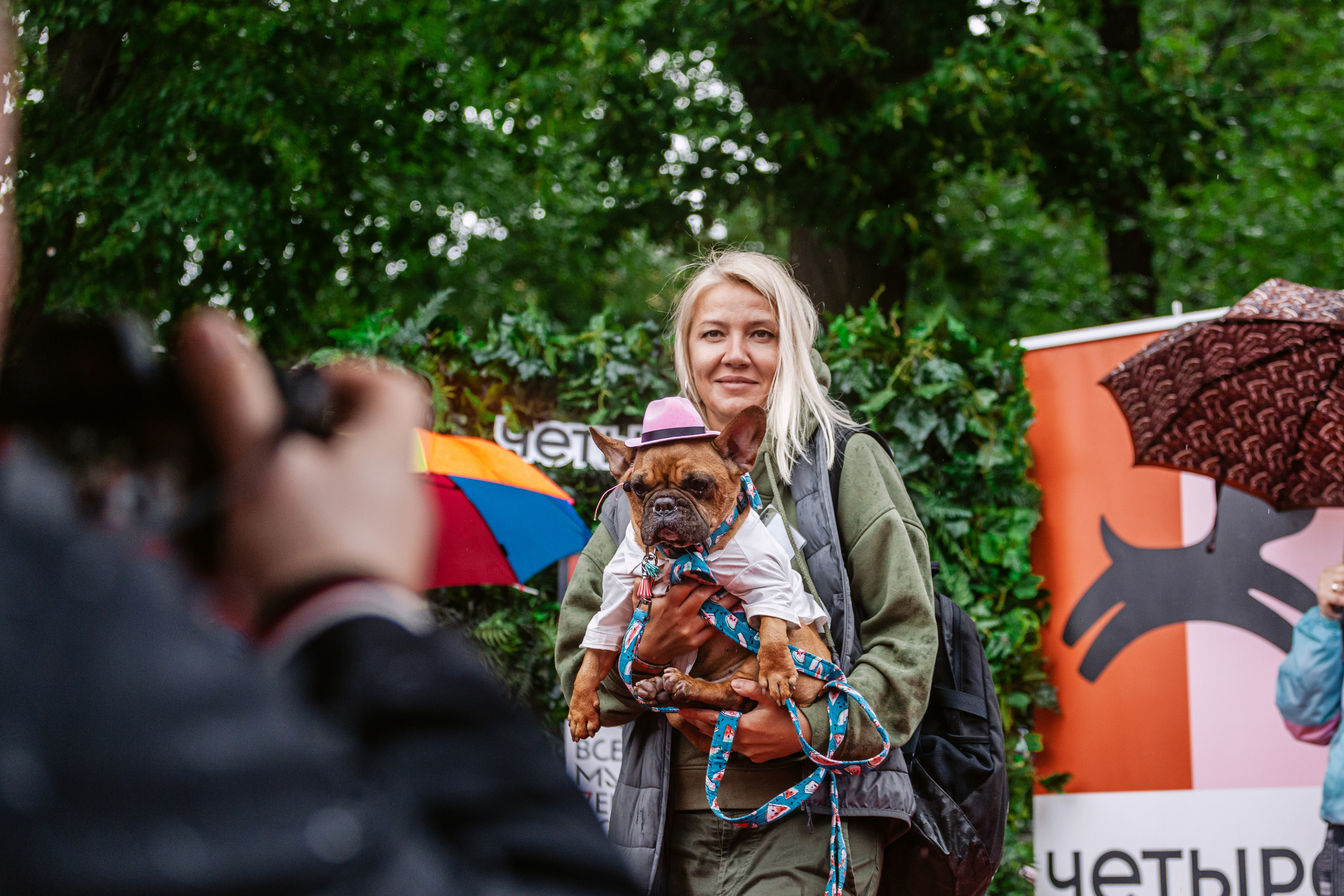 Парад французских бульдогов 15.07.2023. Фотограф-анималист Татьяна Степанова