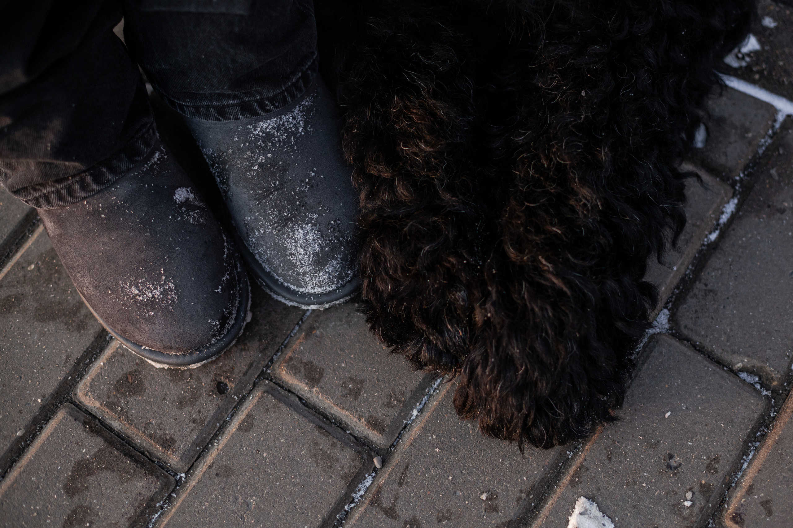 Фотопрогулка завод Арма. Фотограф-анималист Татьяна Степанова