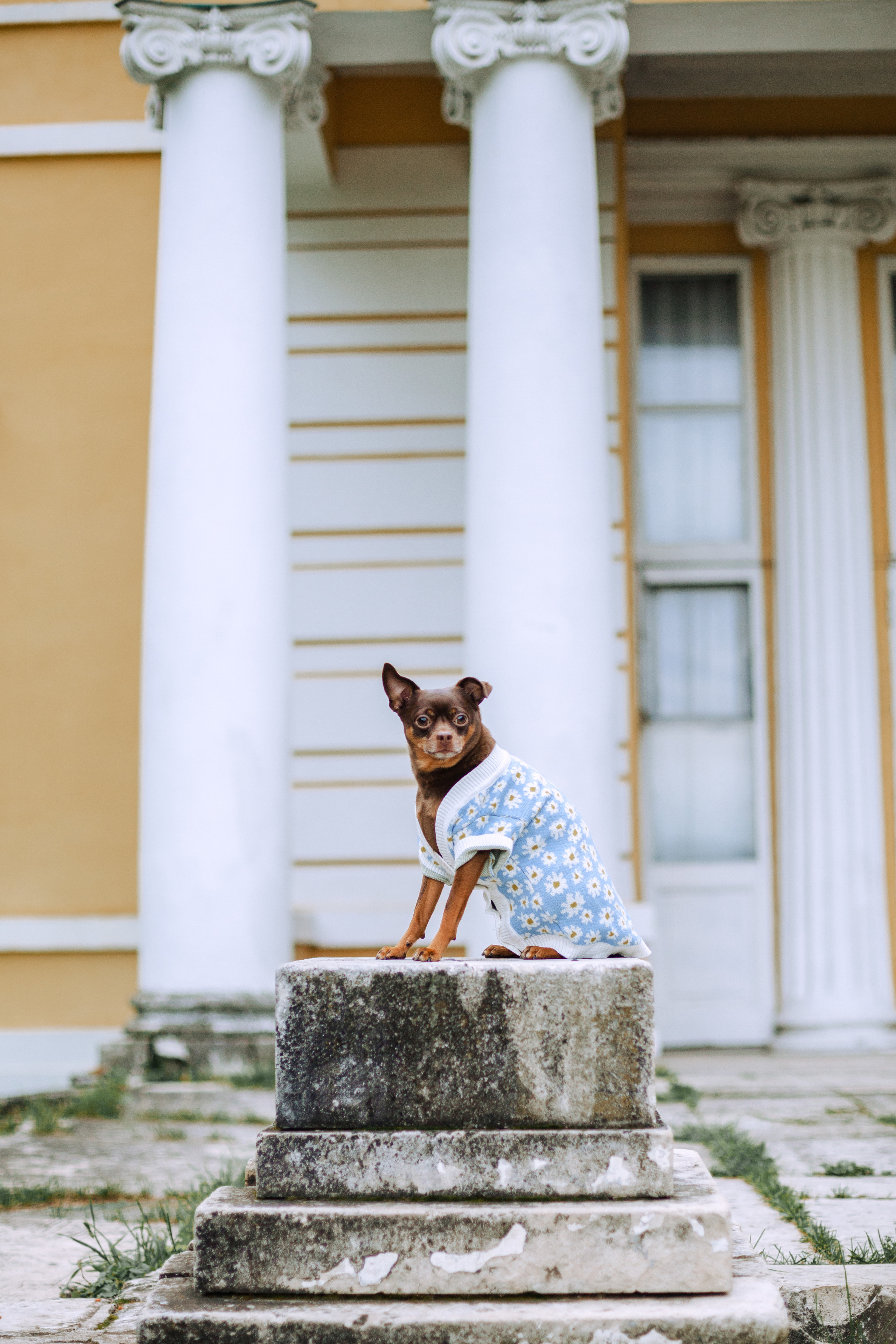 Юля и Леонид. Фотограф-анималист Татьяна Степанова