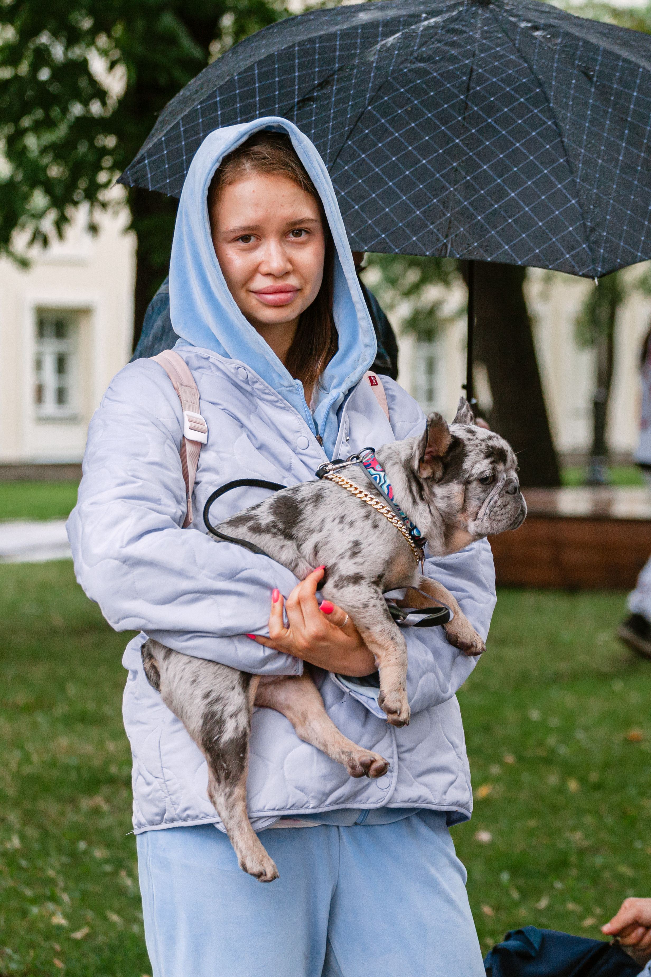 Парад французских бульдогов 15.07.2023. Фотограф-анималист Татьяна Степанова