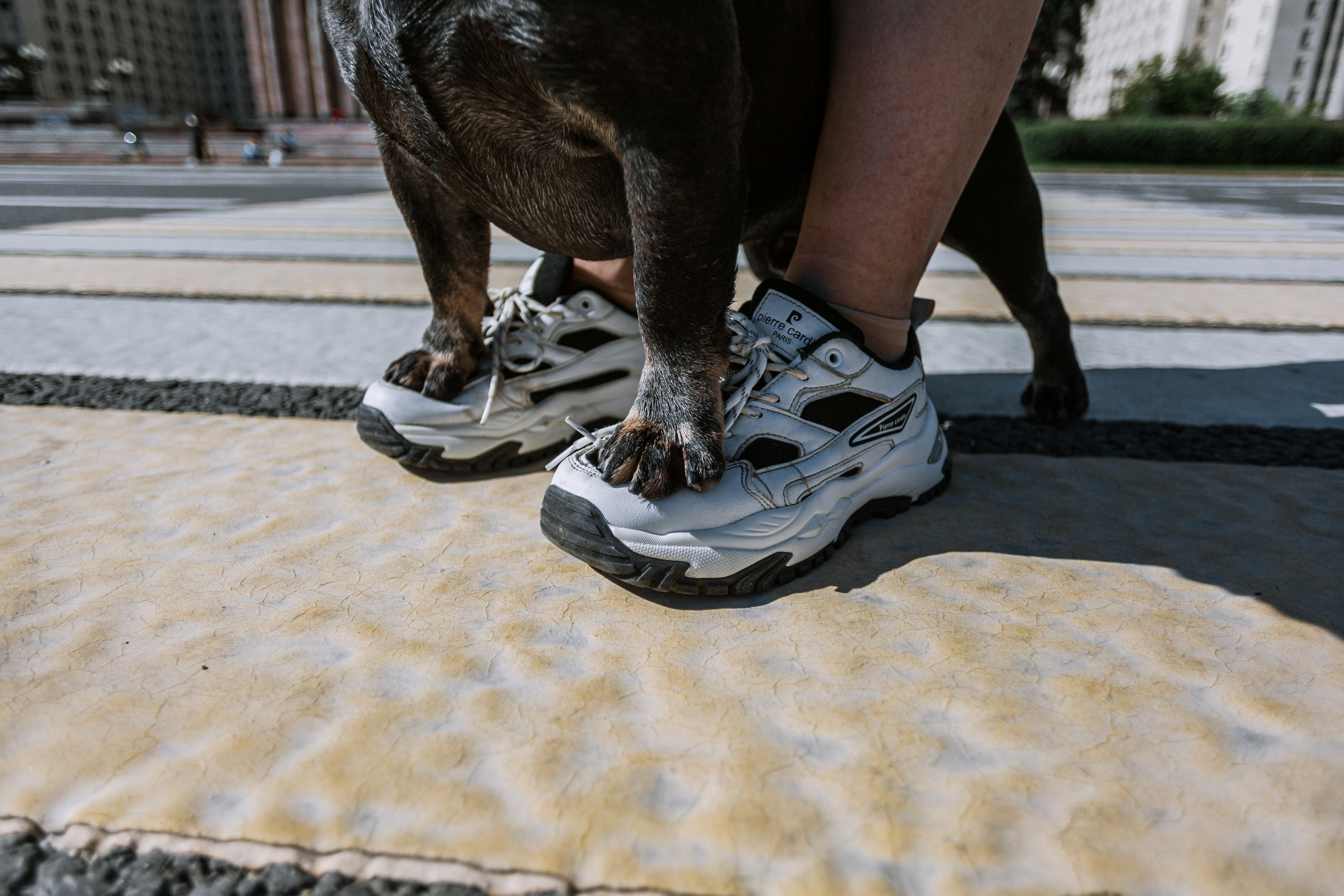 Фотопрогулка у МГУ. Фотограф-анималист Татьяна Степанова