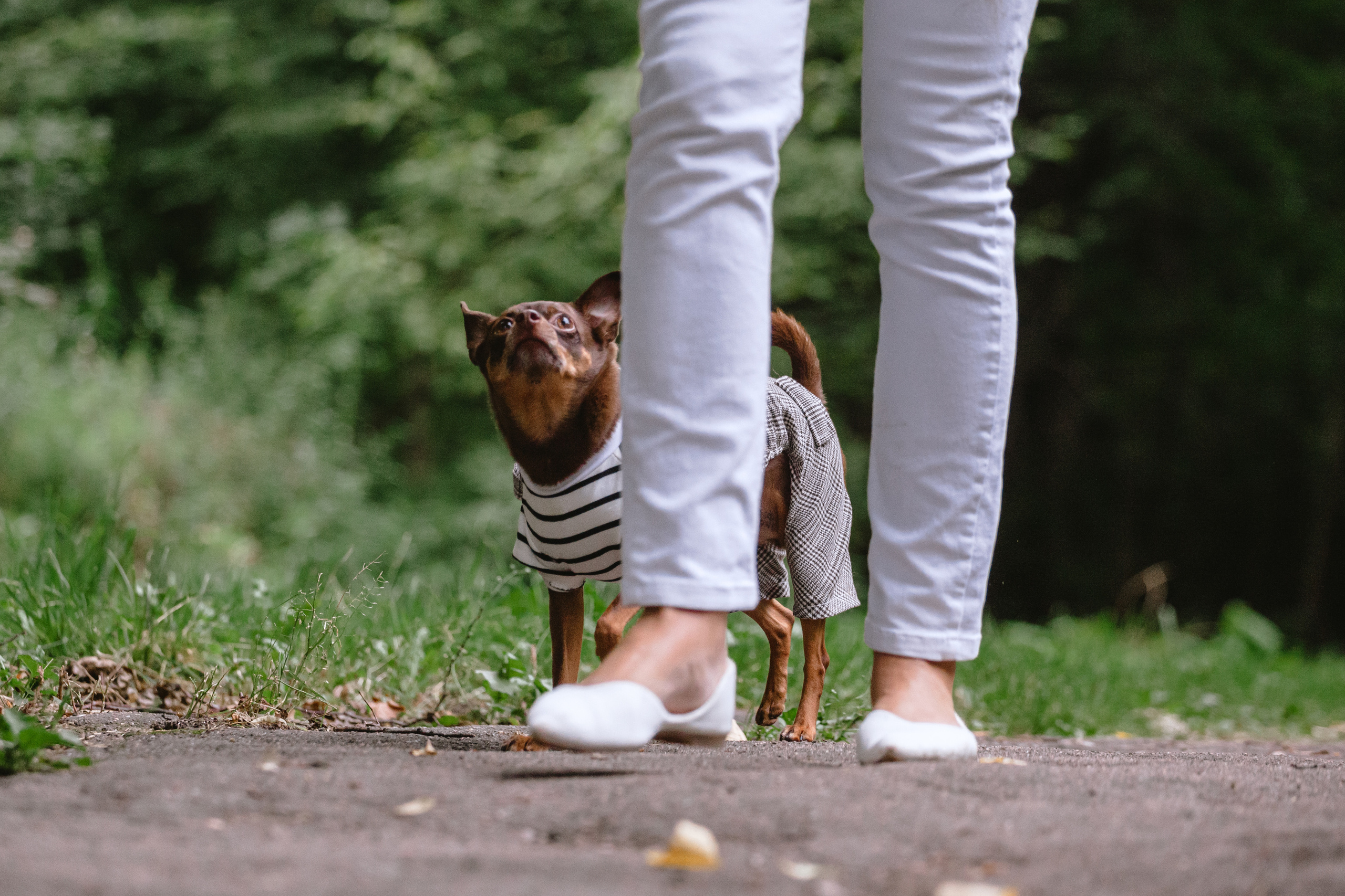 Юля и Леонид. Фотограф-анималист Татьяна Степанова