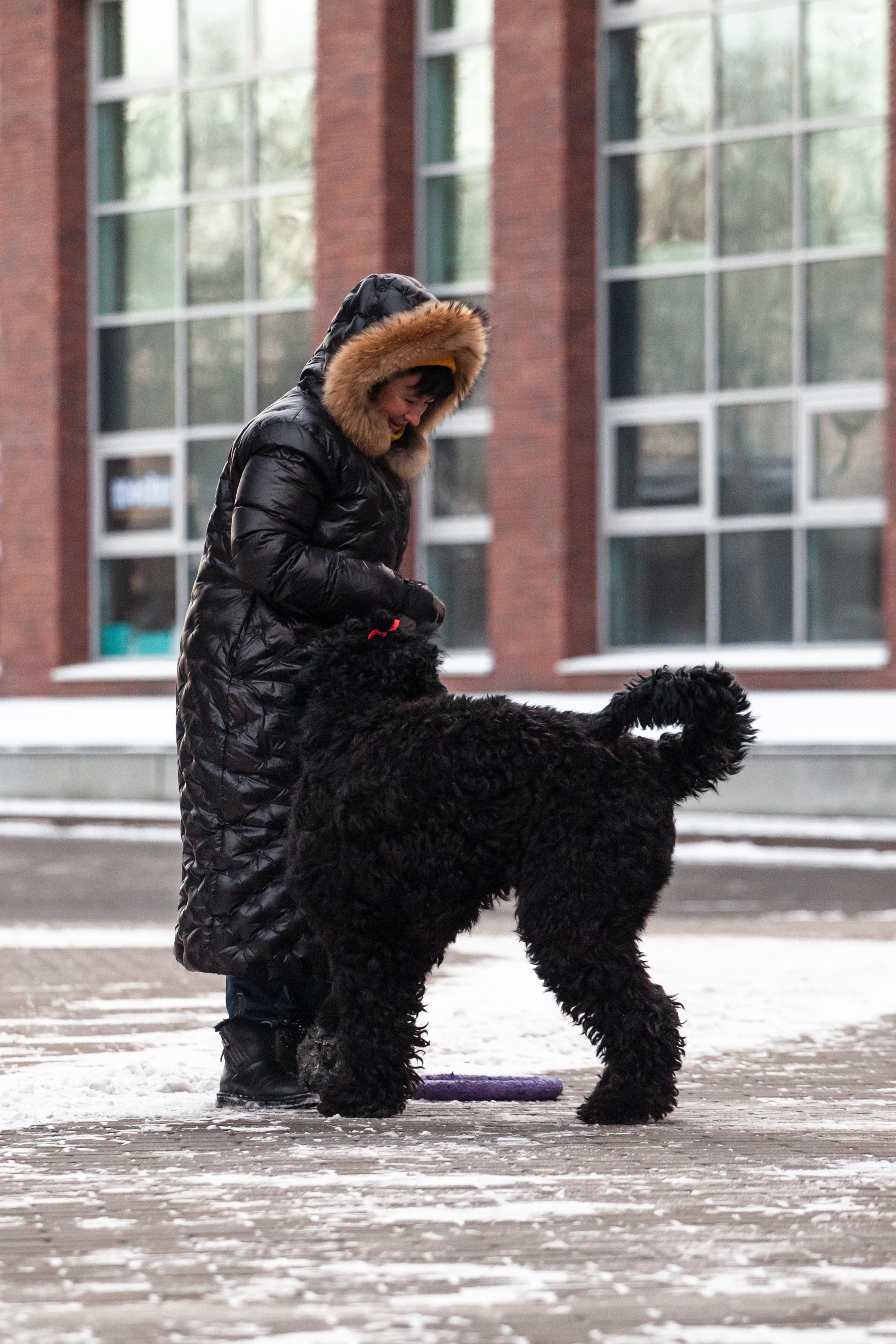 Фотопрогулка завод Арма. Фотограф-анималист Татьяна Степанова