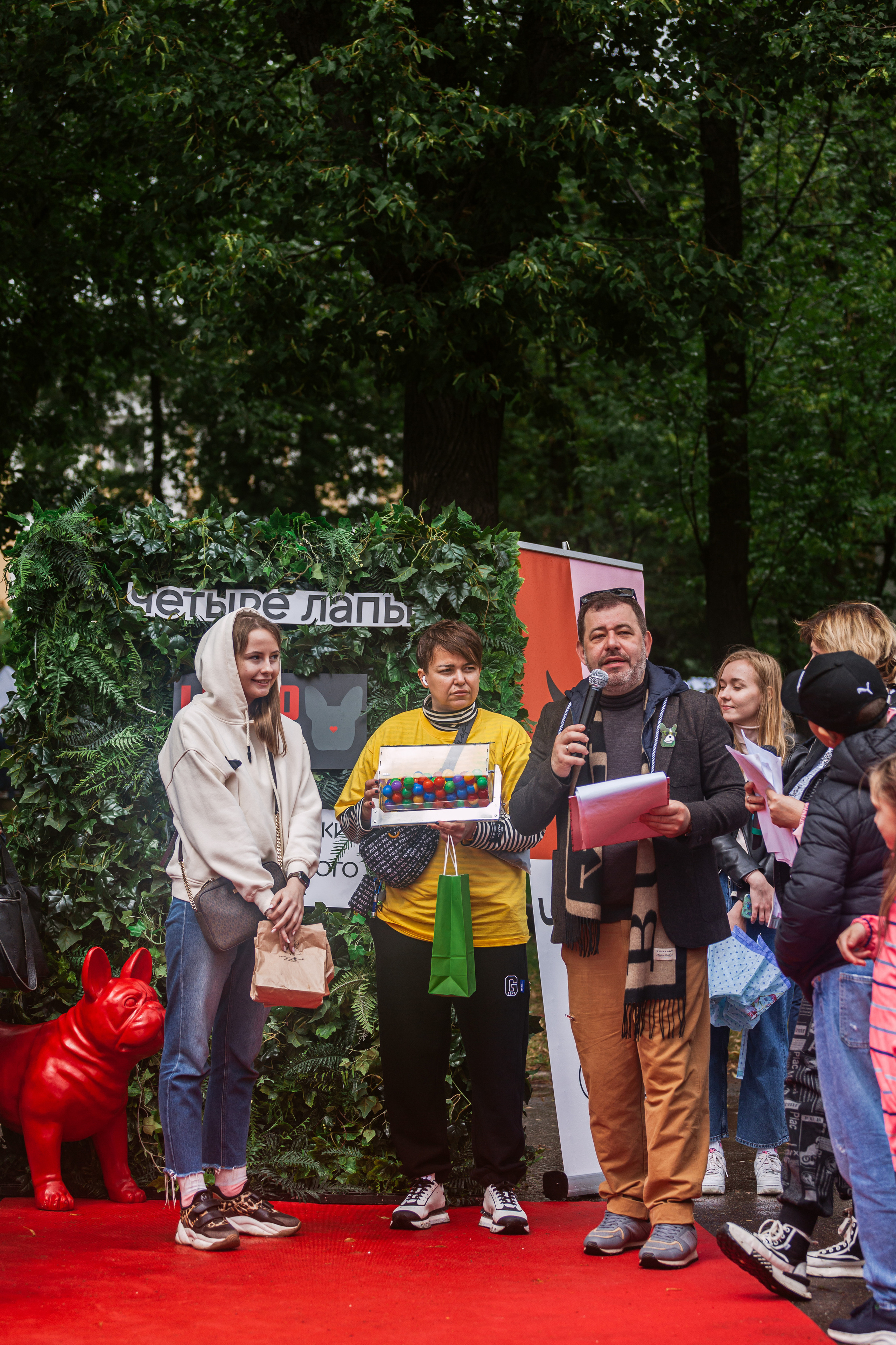 Парад французских бульдогов 15.07.2023. Фотограф-анималист Татьяна Степанова