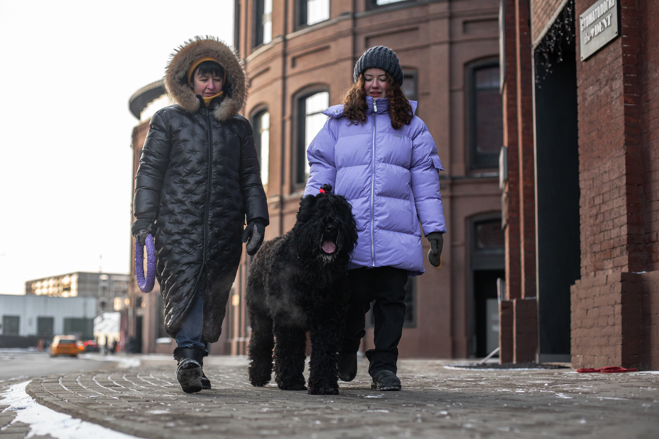 Фотопрогулка завод Арма. Фотограф-анималист Татьяна Степанова